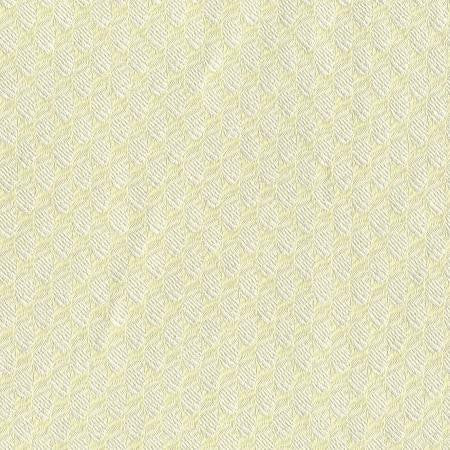 Party Linens Poxle Ivory  Specialty Prints