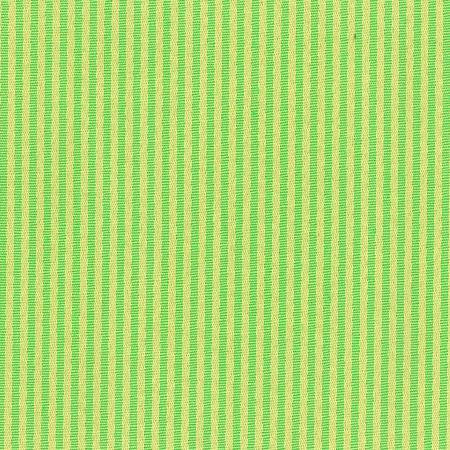 Windsong Stripe Citrus Green - Stripes and Polka Dots
