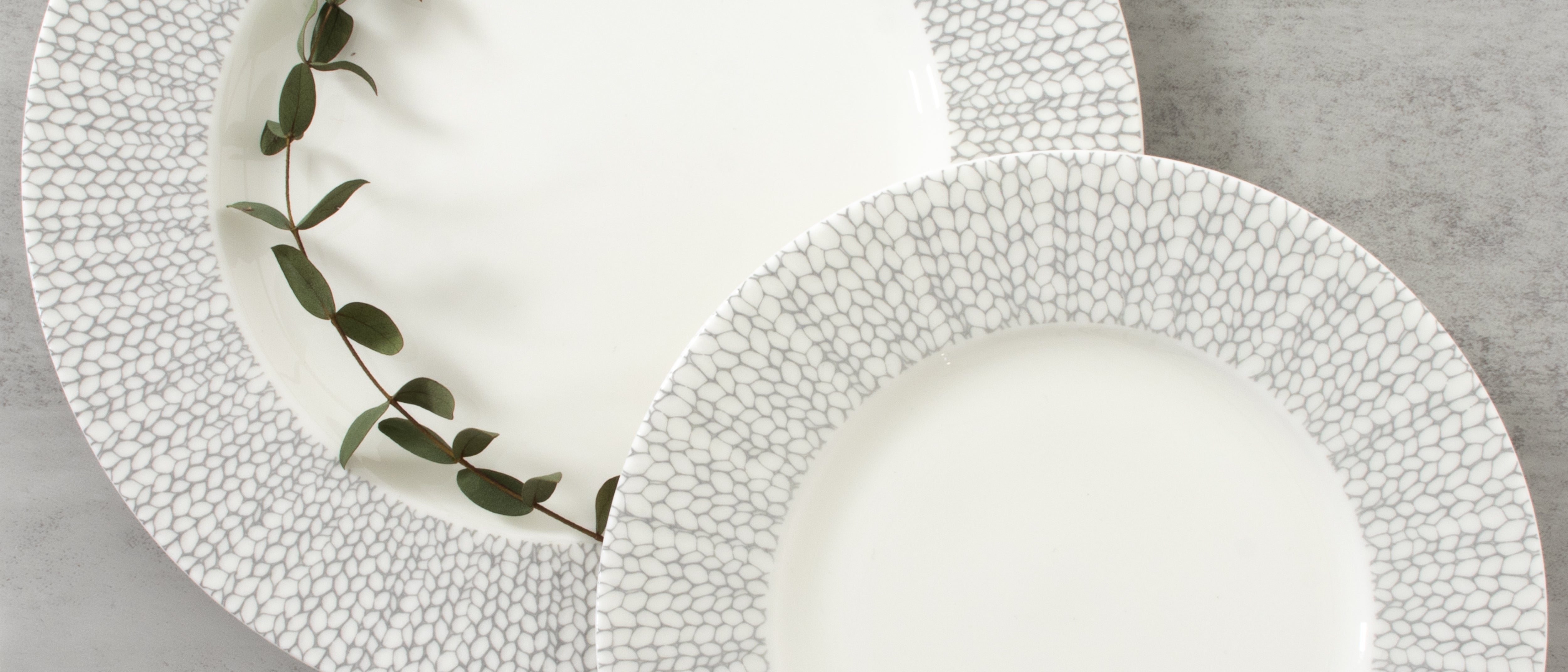 Amanda Gray Collection