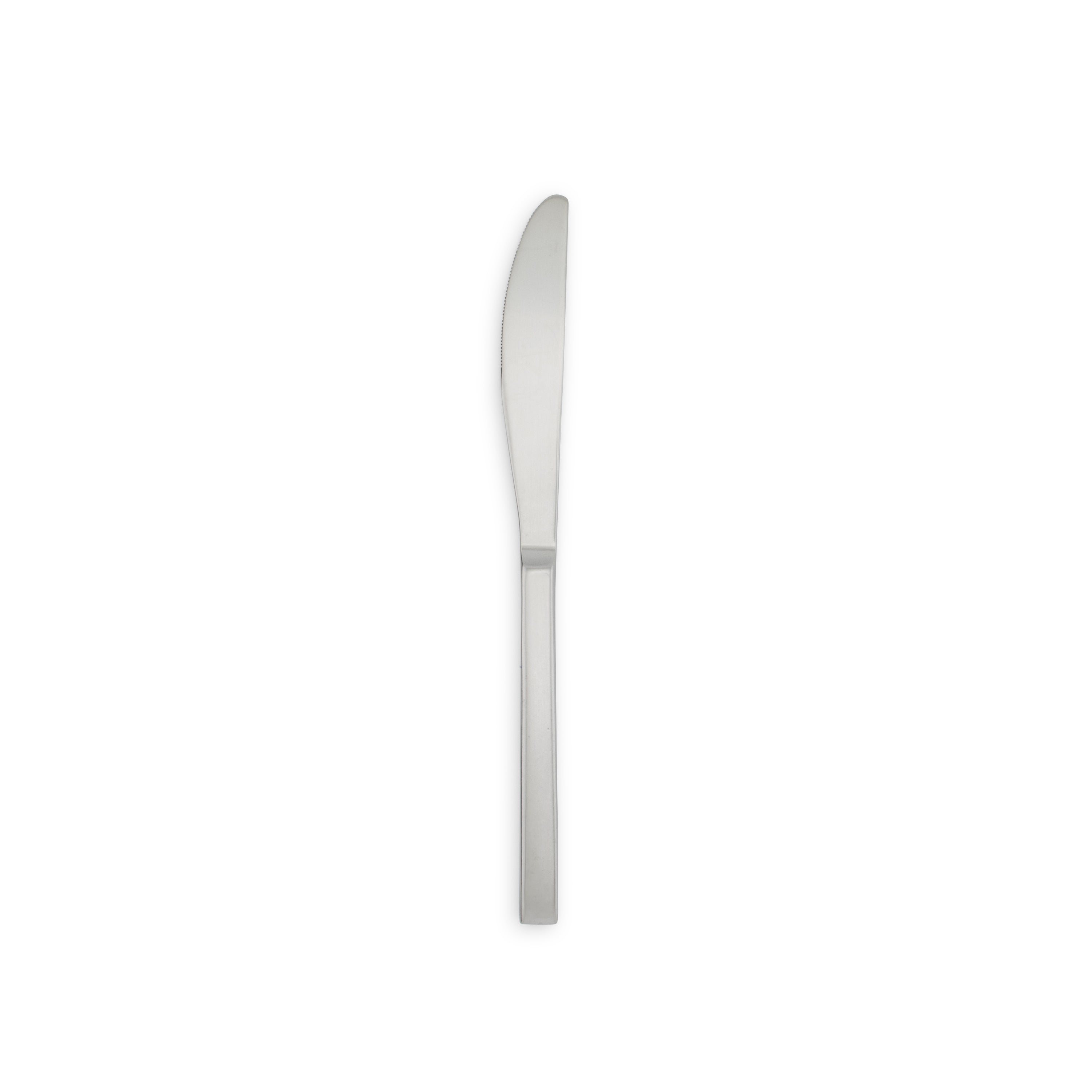 Arezzo Brushed Flatware