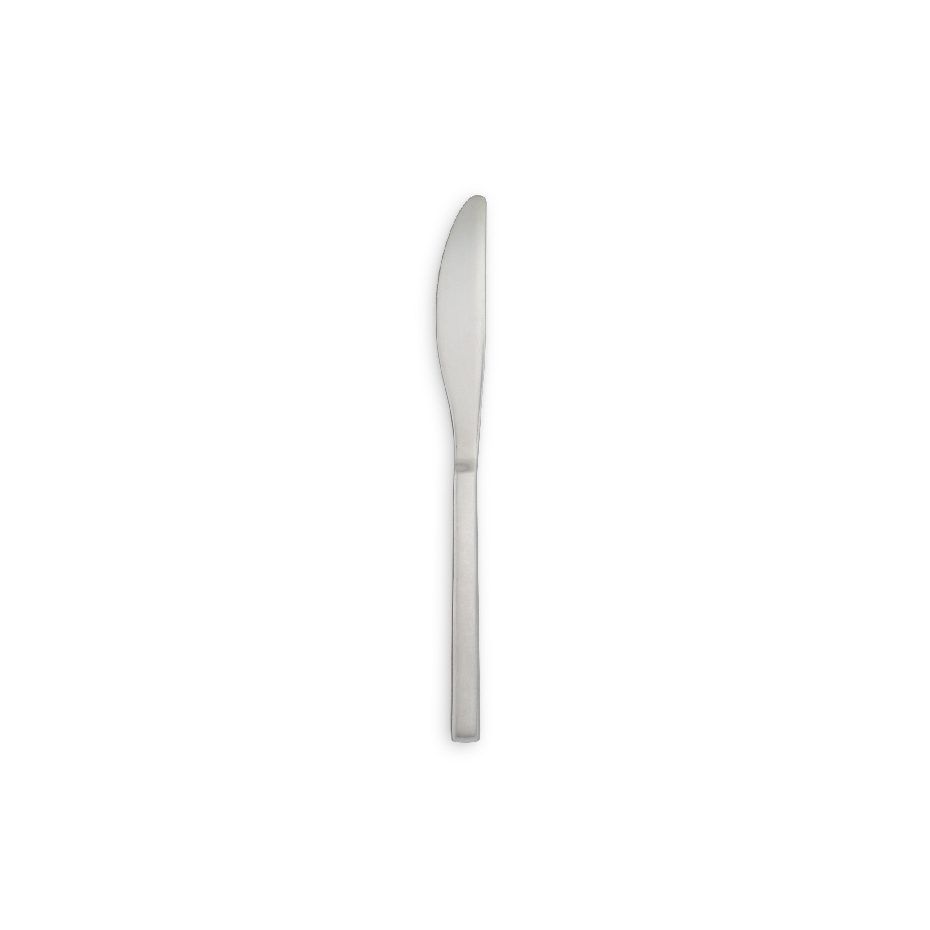 Arezzo Brushed Flatware