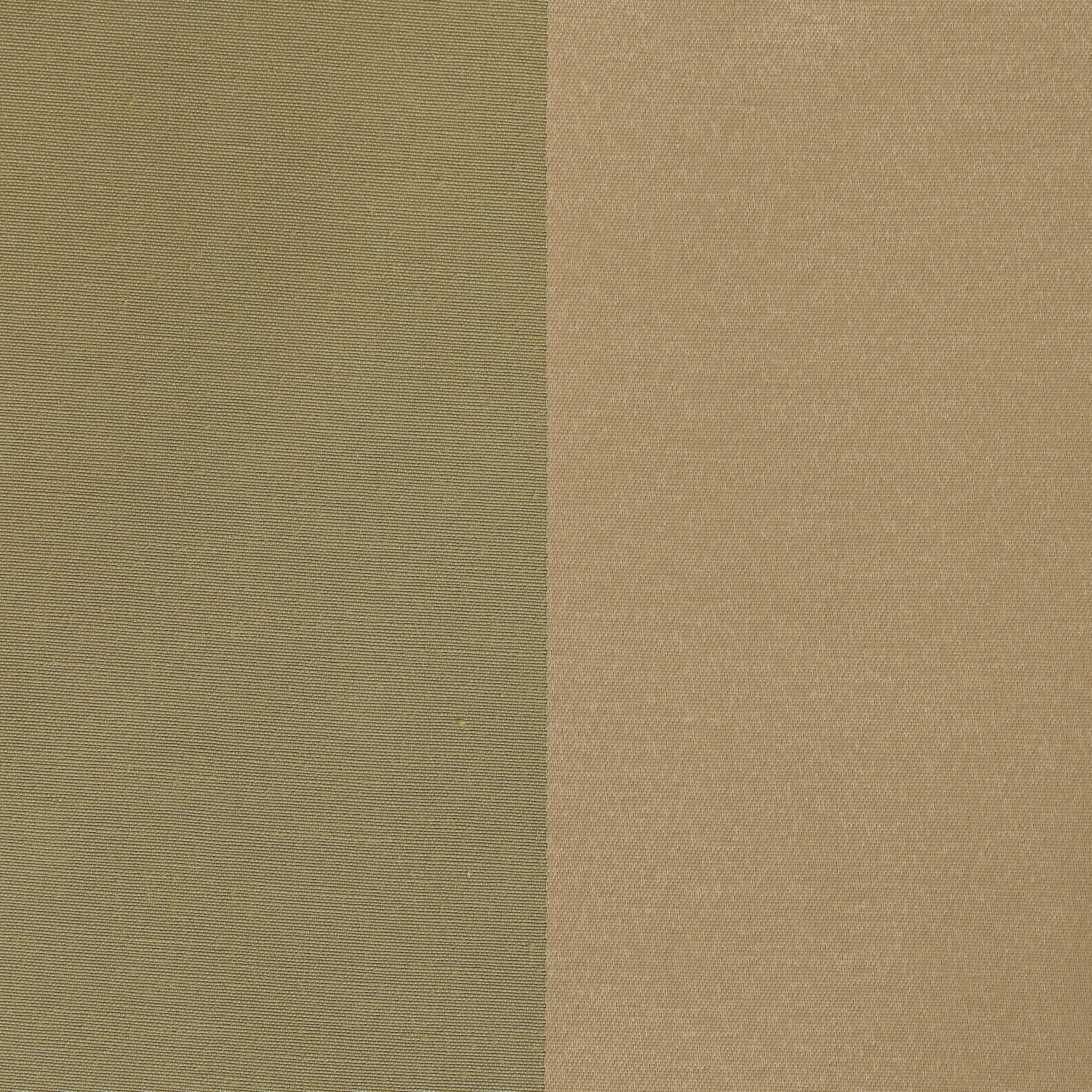 Avignon Green Stripe