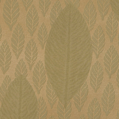 Avignon Green