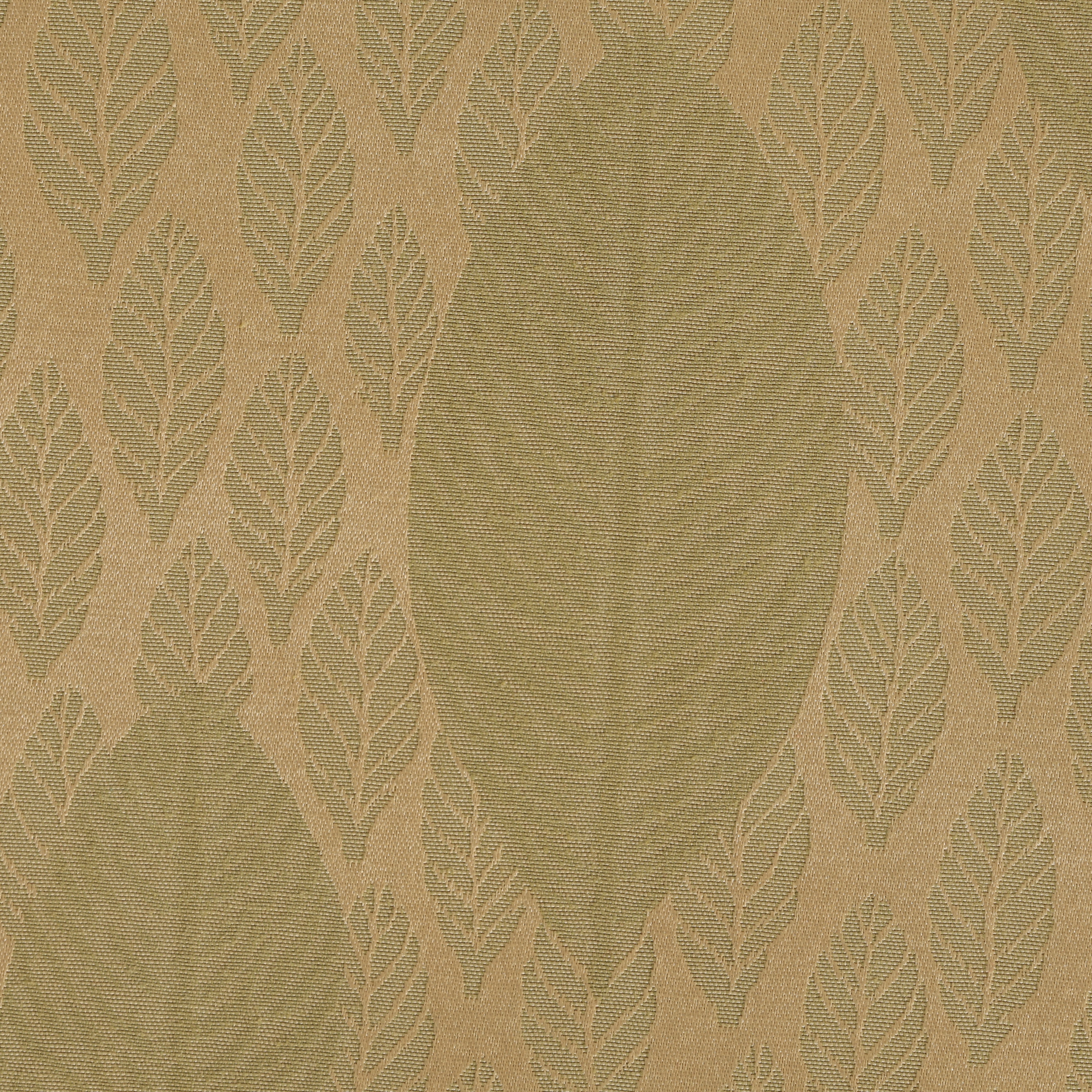Avignon Green