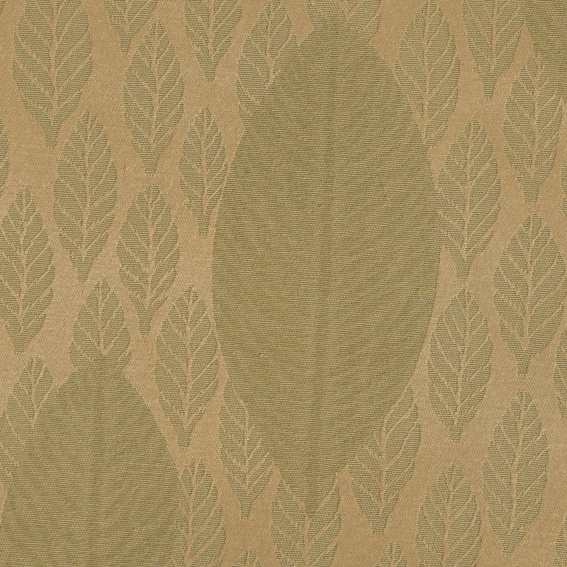 Avignon Green