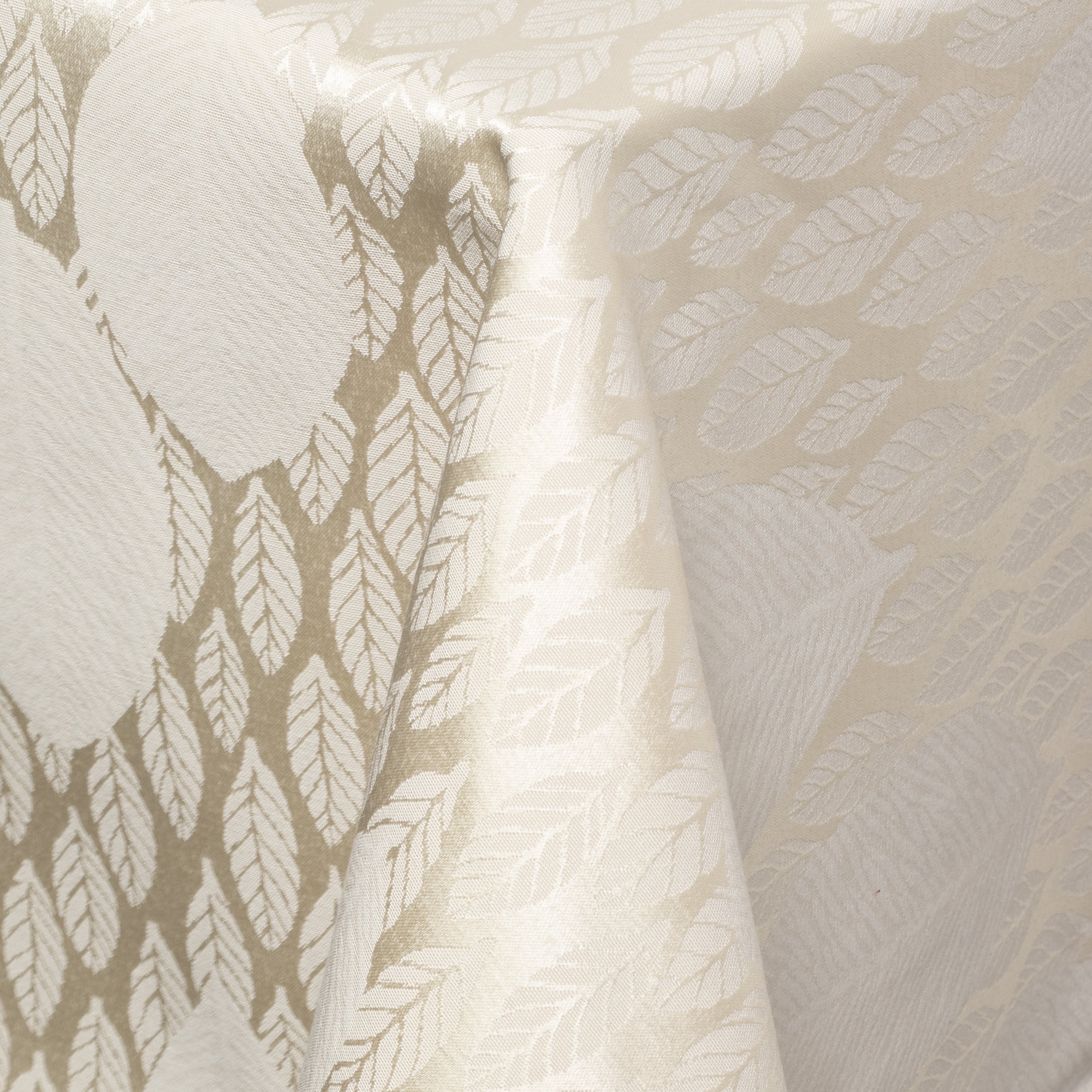 Avignon White