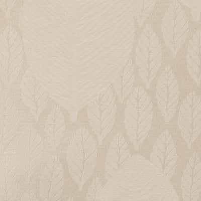 Avignon White