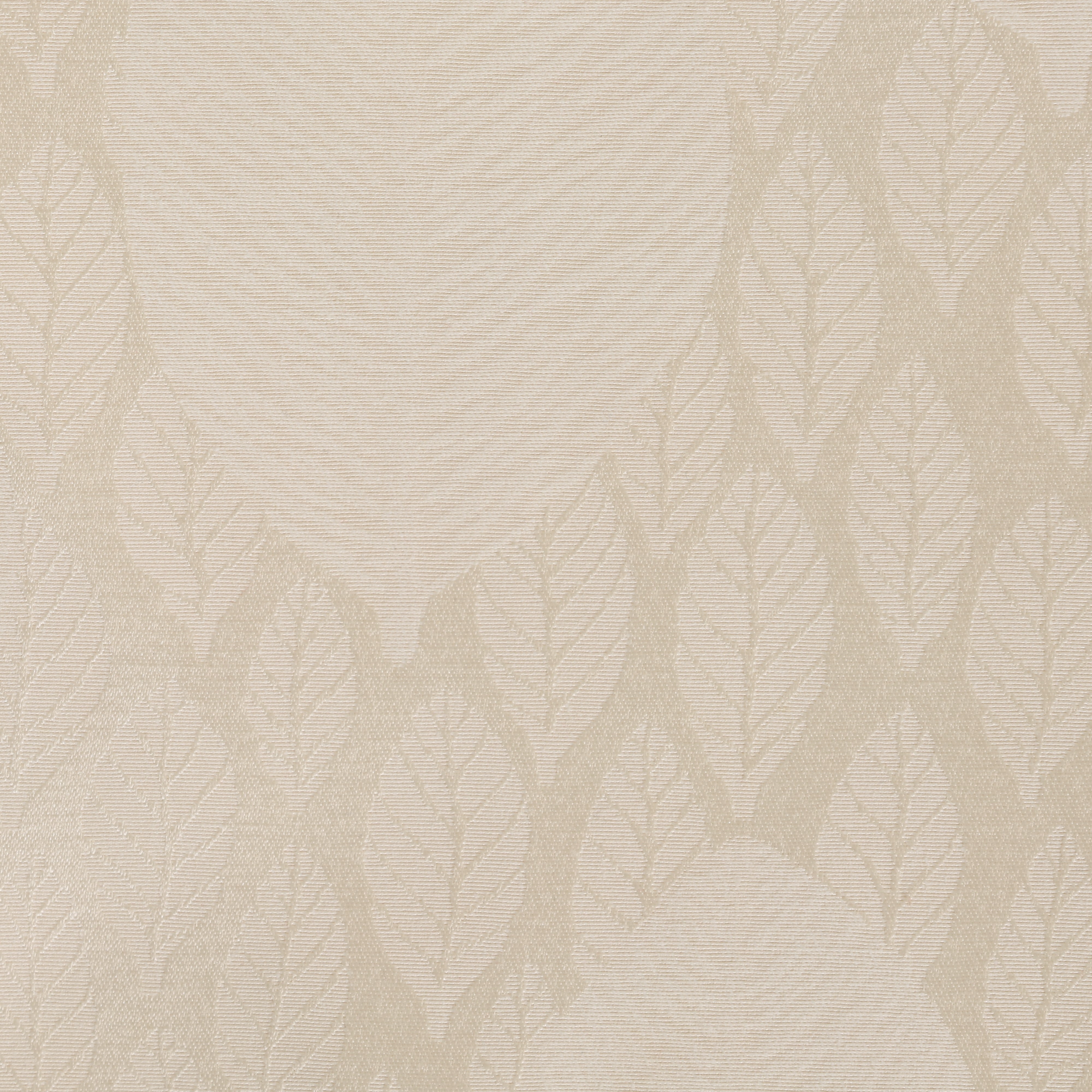 Avignon White