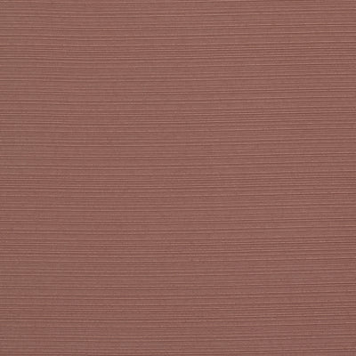 Bali Cinnamon