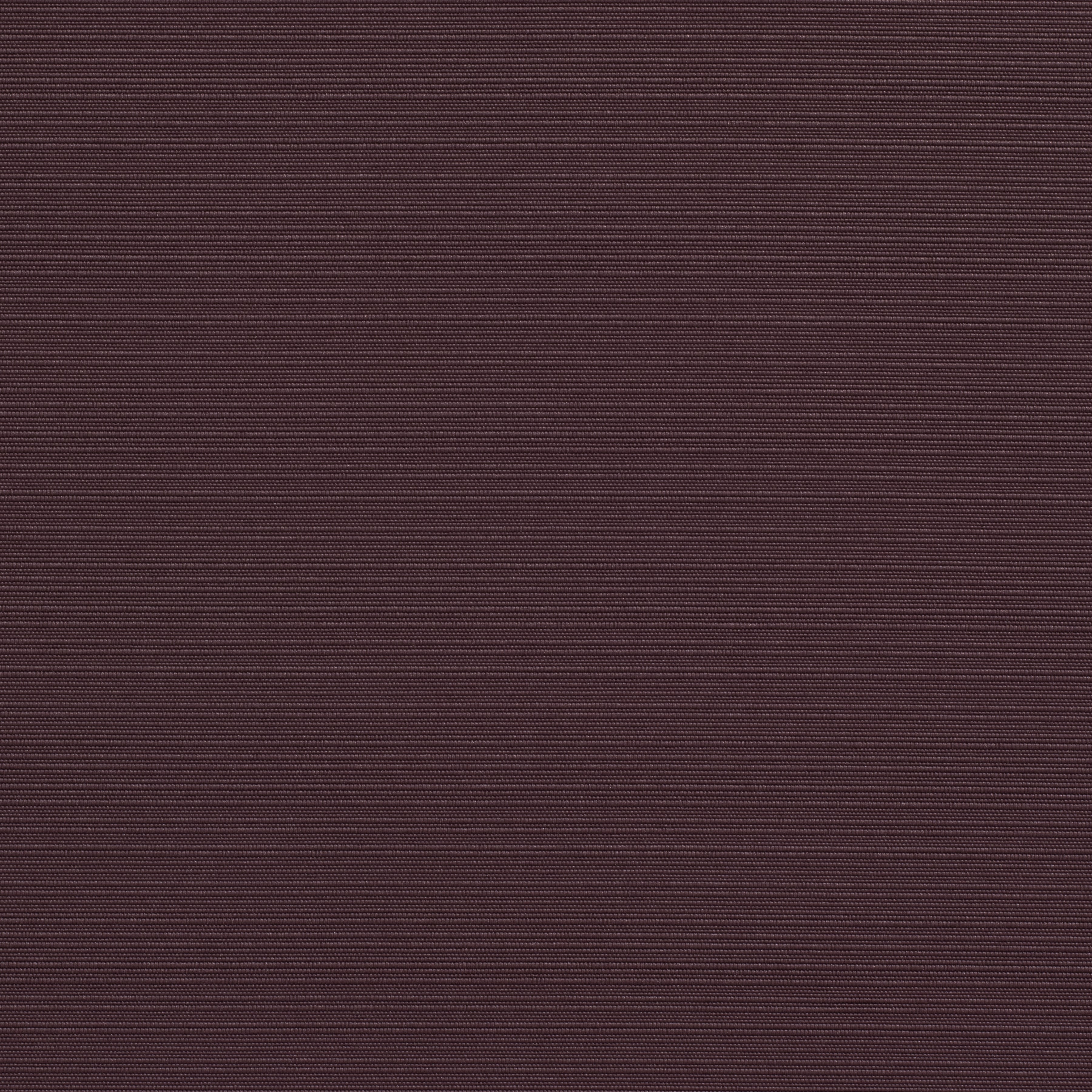 Bali Raisin
