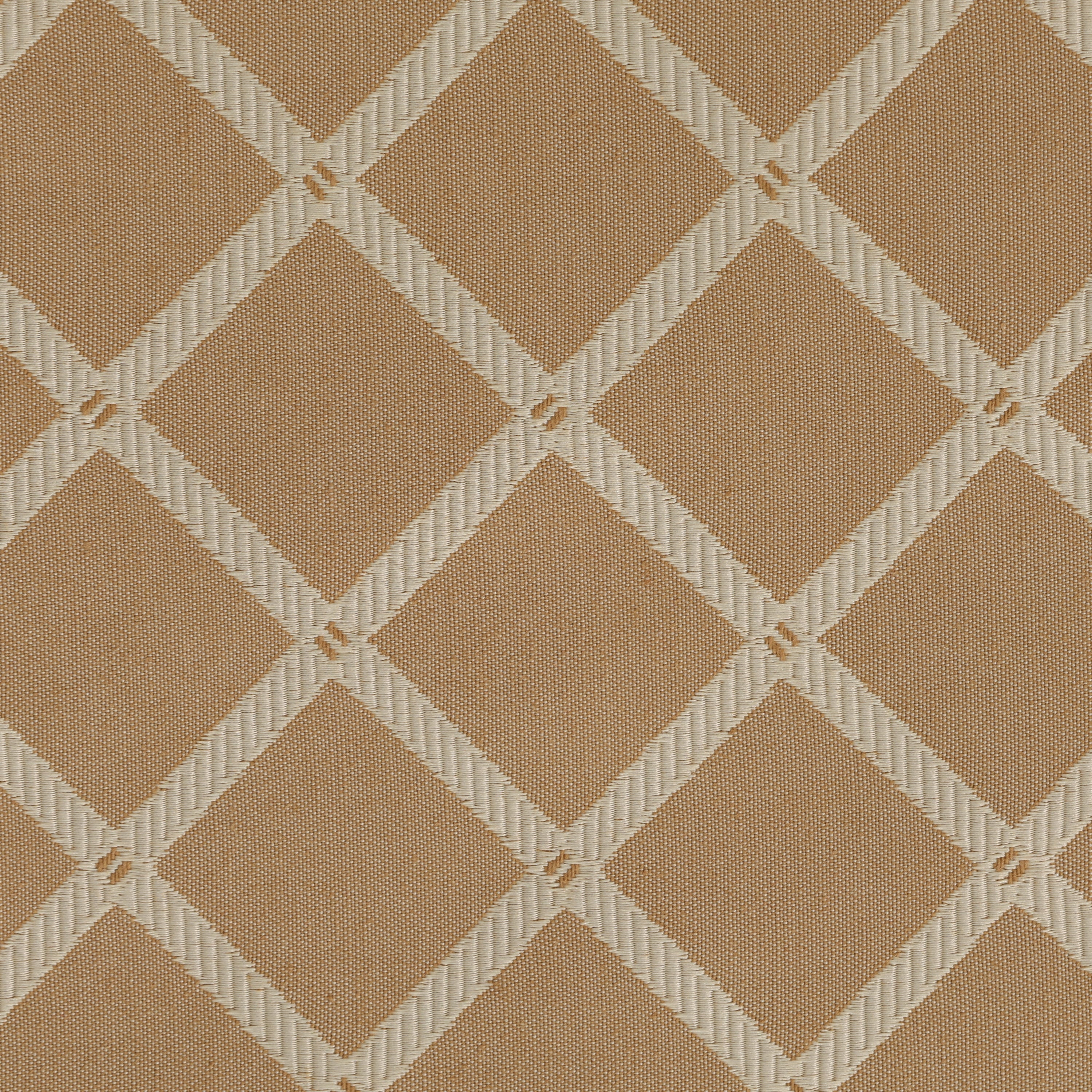 Biscotti Criss Cross