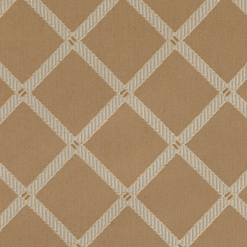Biscotti Criss Cross