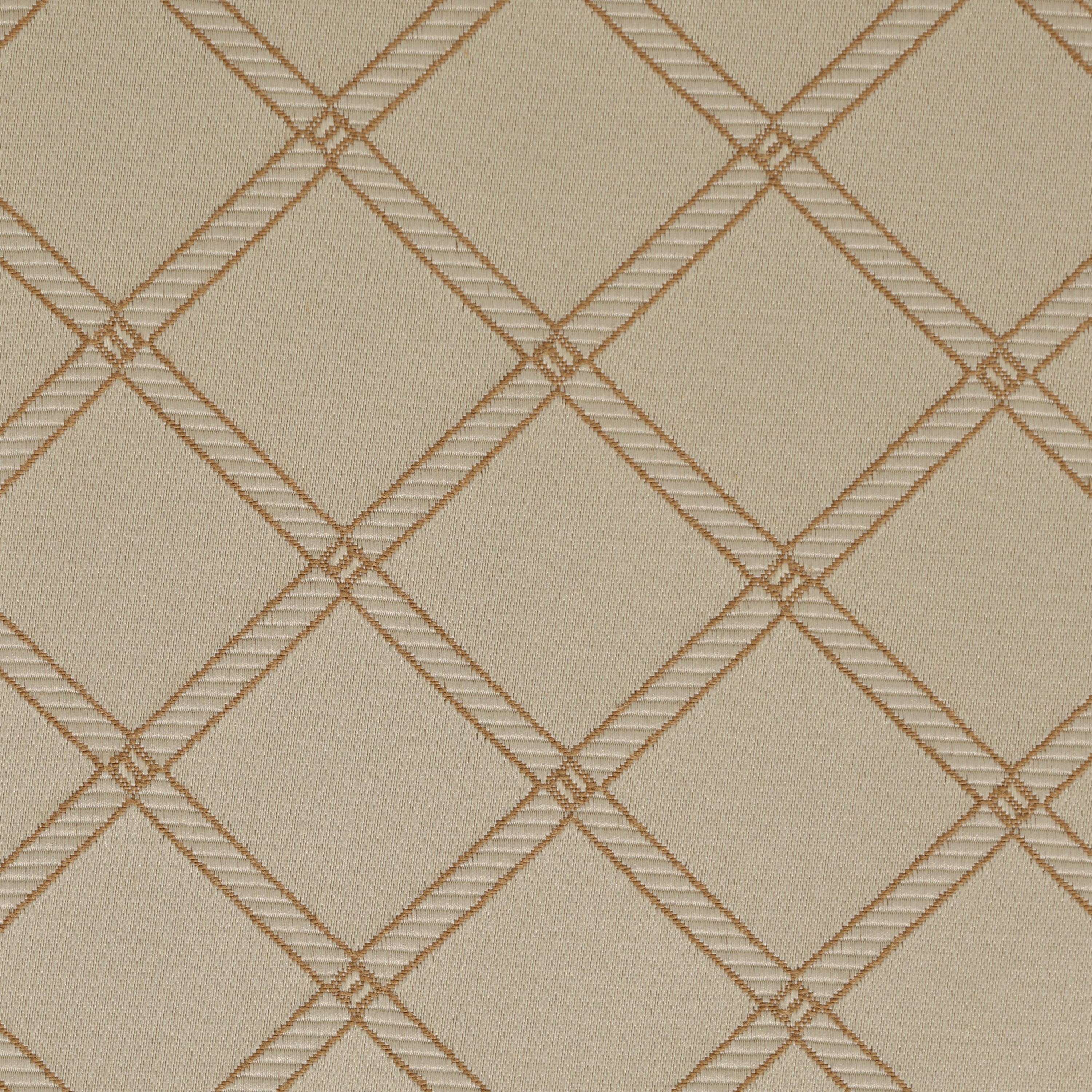 Biscotti Criss Cross