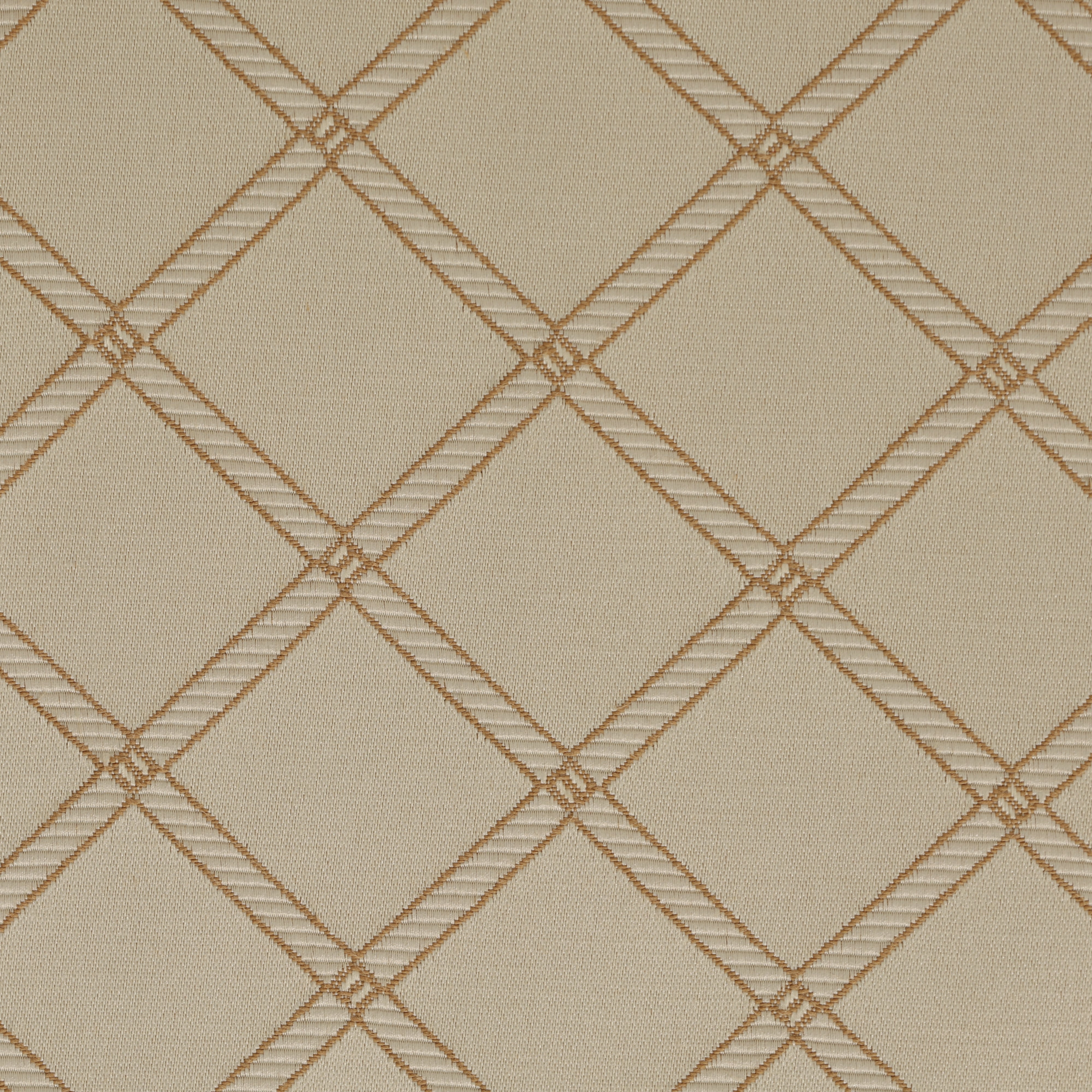 Biscotti Criss Cross