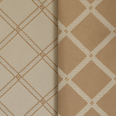 Biscotti Criss Cross