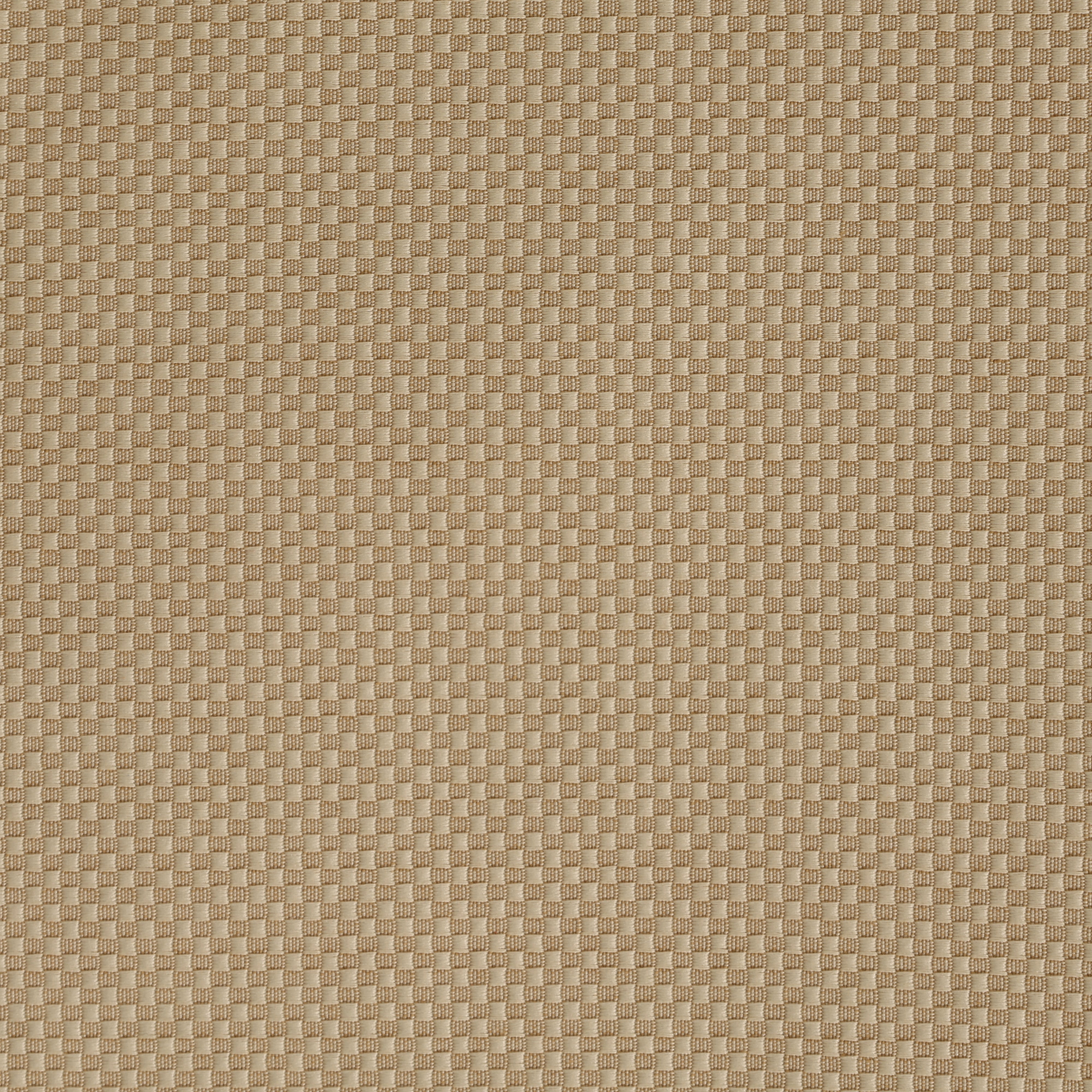 Biscotti Pindot Napkin