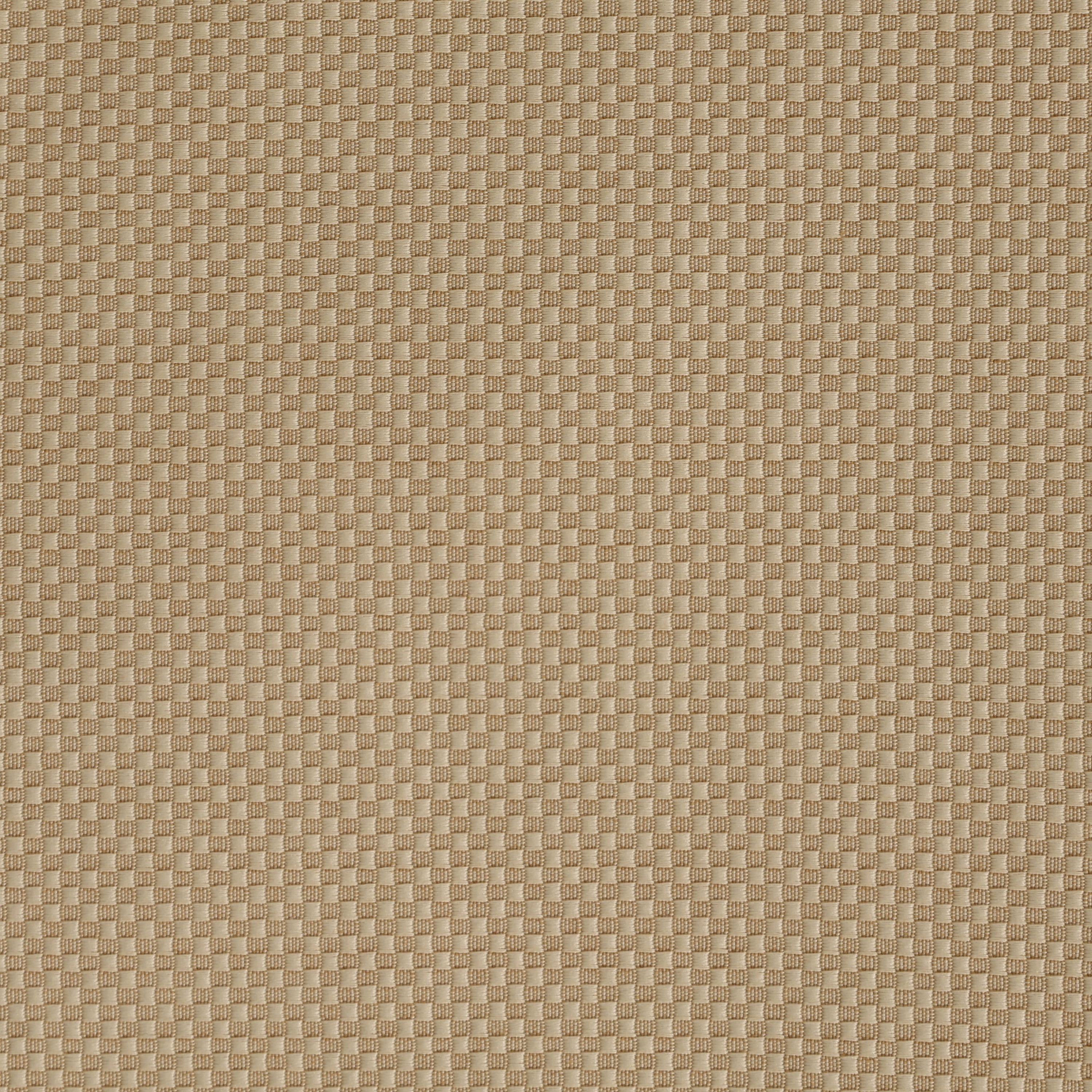 Biscotti Pindot