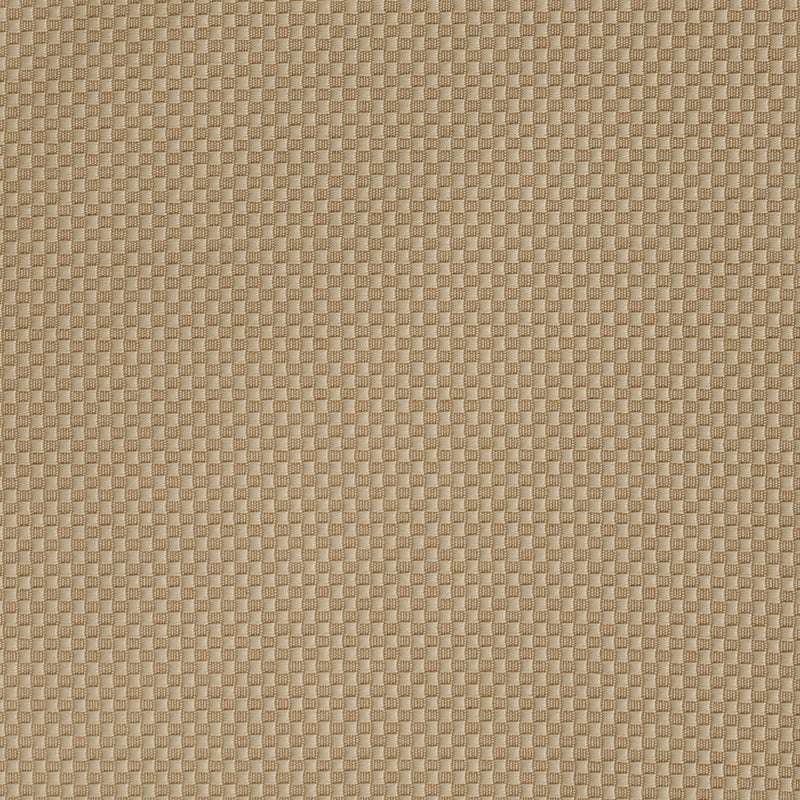 Biscotti Pindot