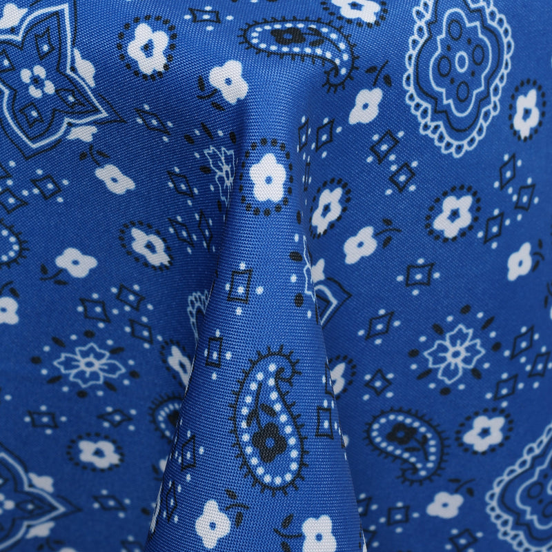 Blue Bandana