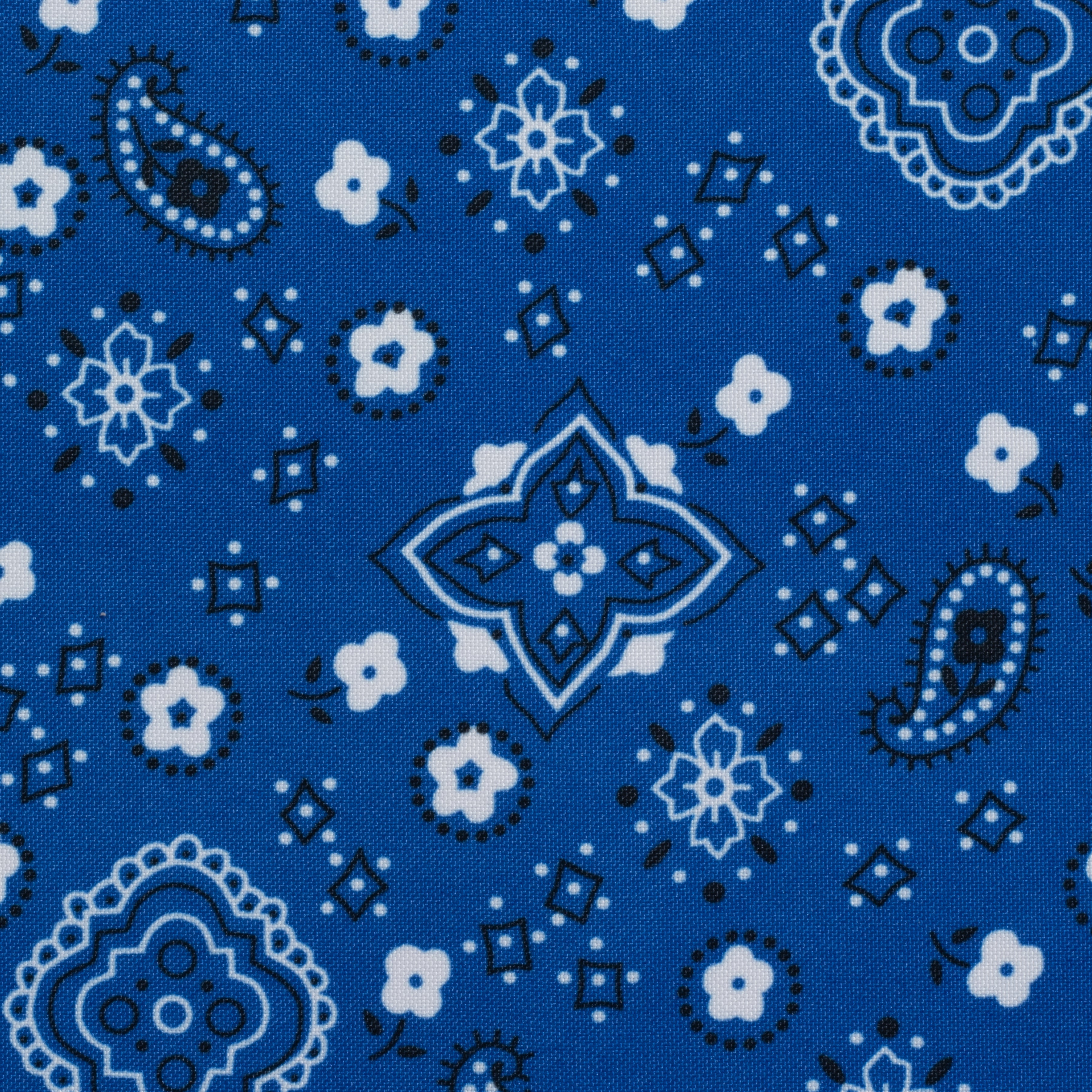 Blue Bandana