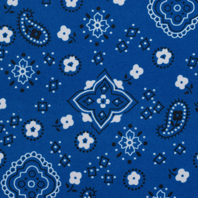 Blue Bandana