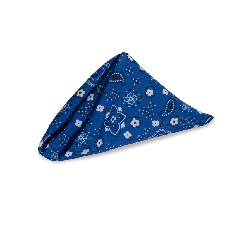 Blue Bandana Napkin
