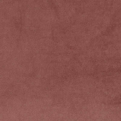 Blush Velvet