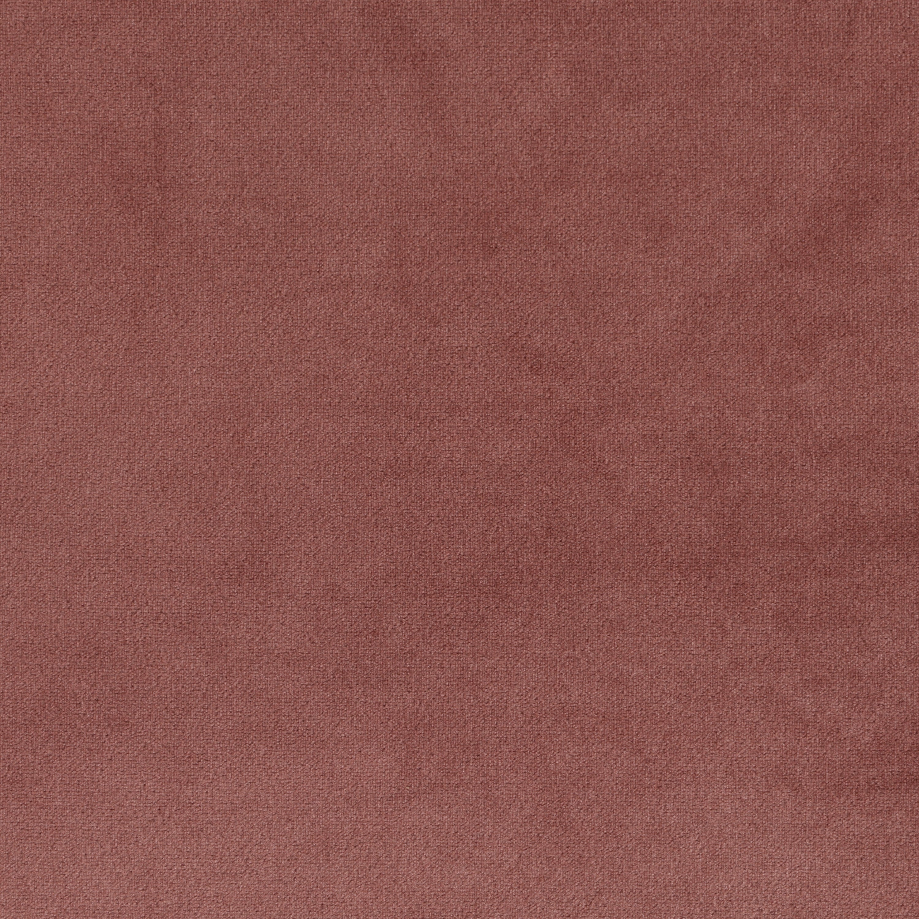 Blush Velvet
