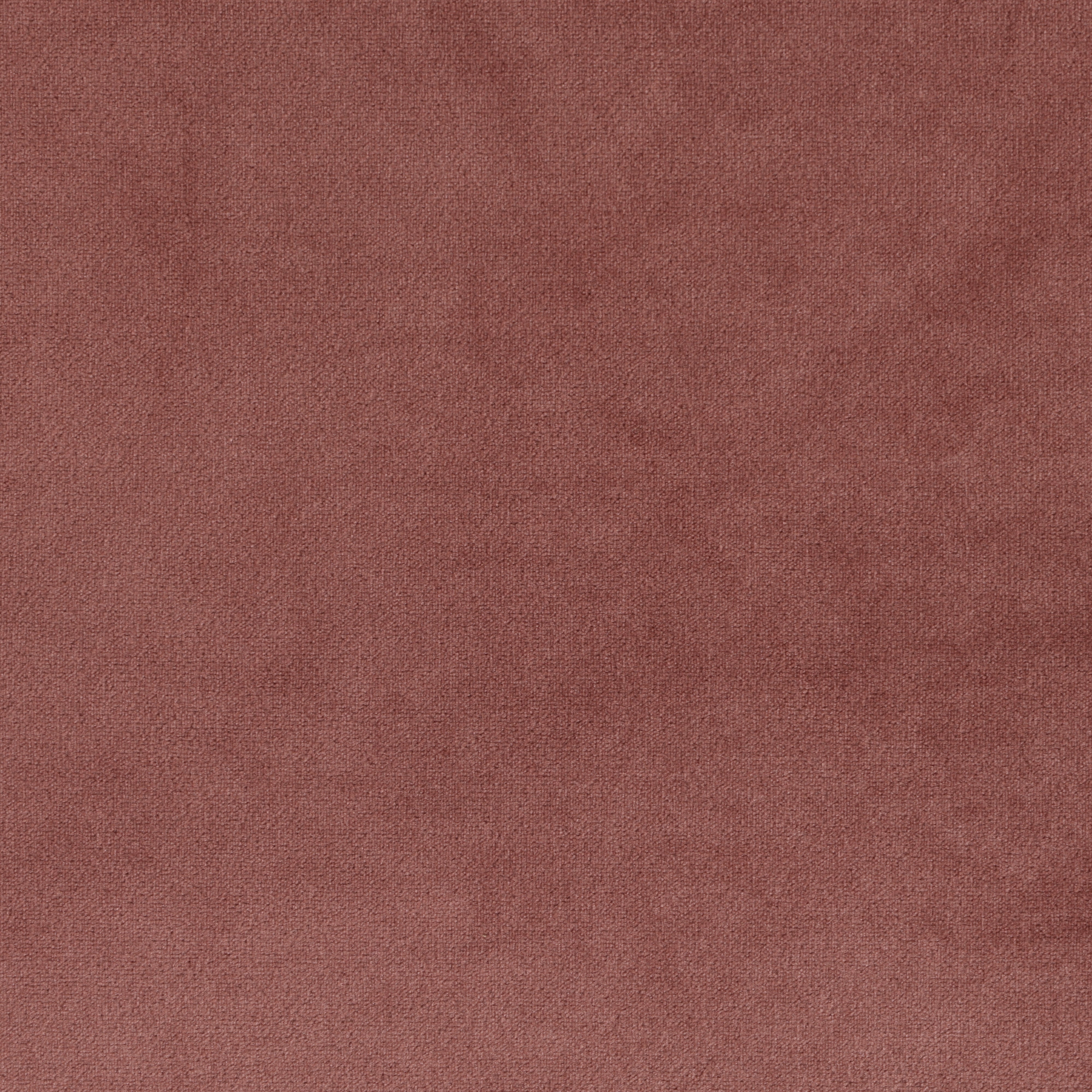 Blush Velvet