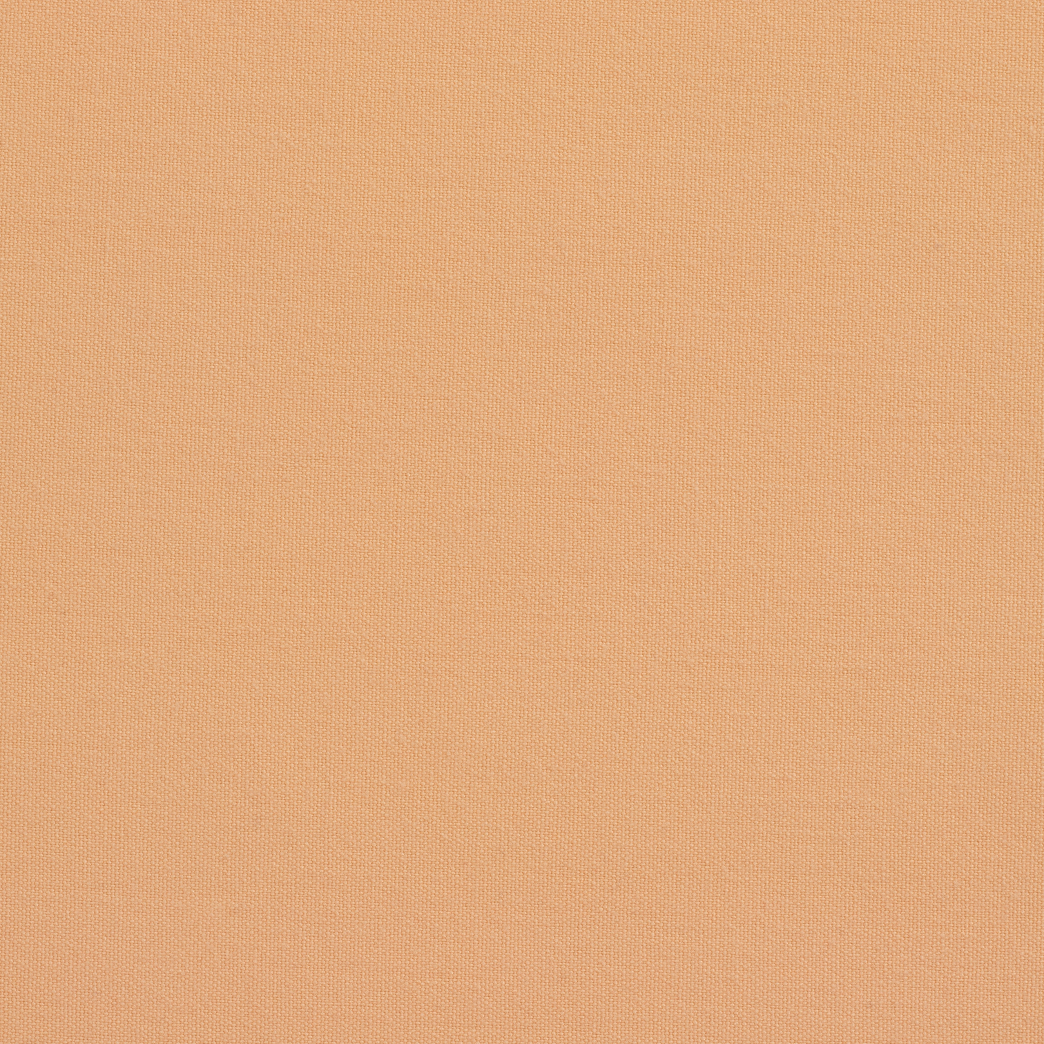 Solid Cotton Nouveau Canteloupe