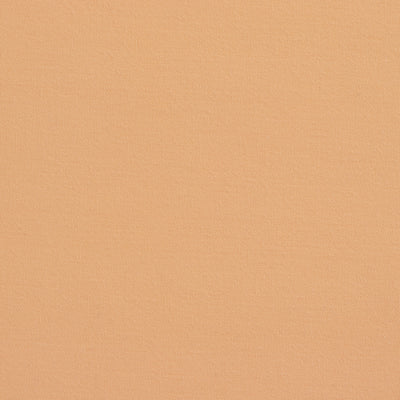Solid Cotton Nouveau Canteloupe Napkin