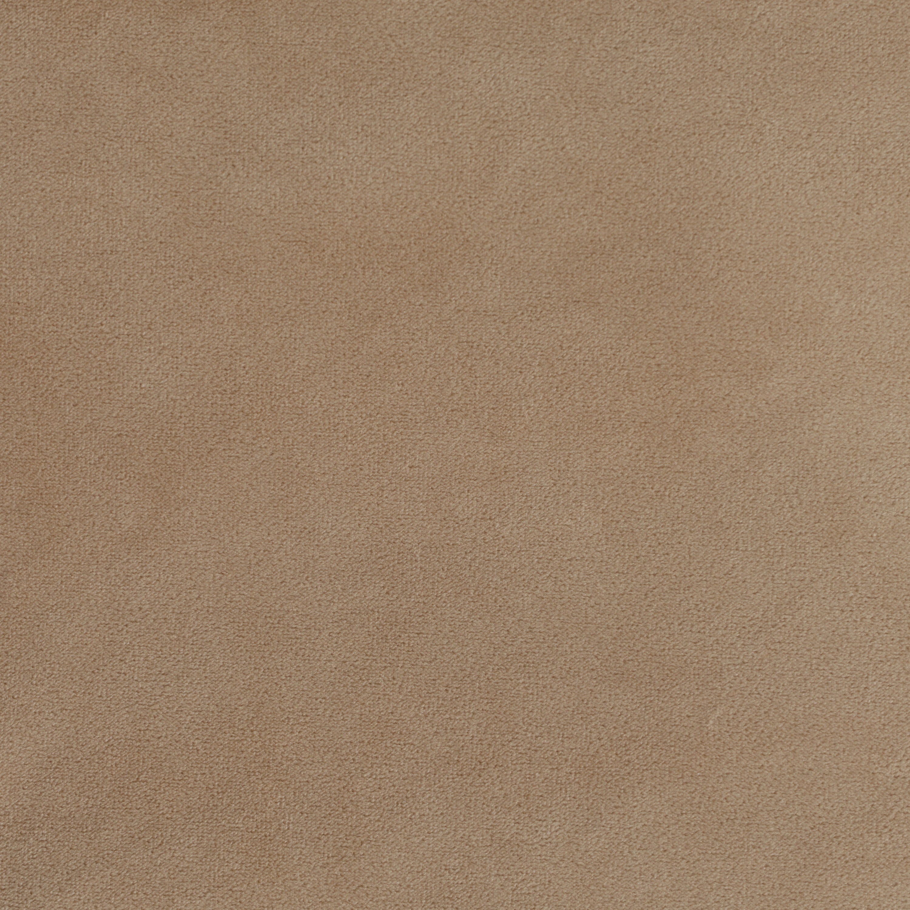 Cashmere Velvet