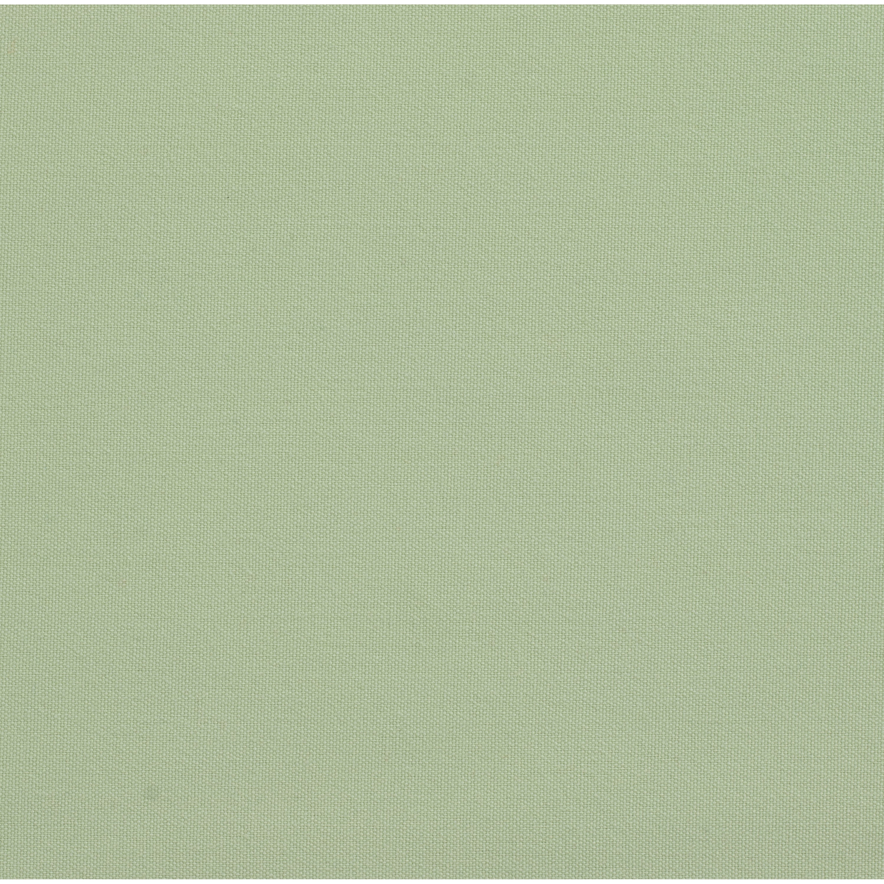 Solid Cotton Nouveau Celadon
