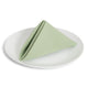 Solid Cotton Nouveau Celadon Napkin