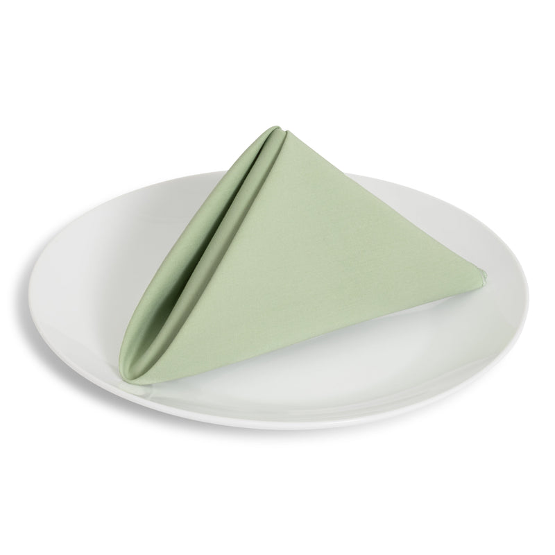 Solid Cotton Nouveau Celadon Napkin