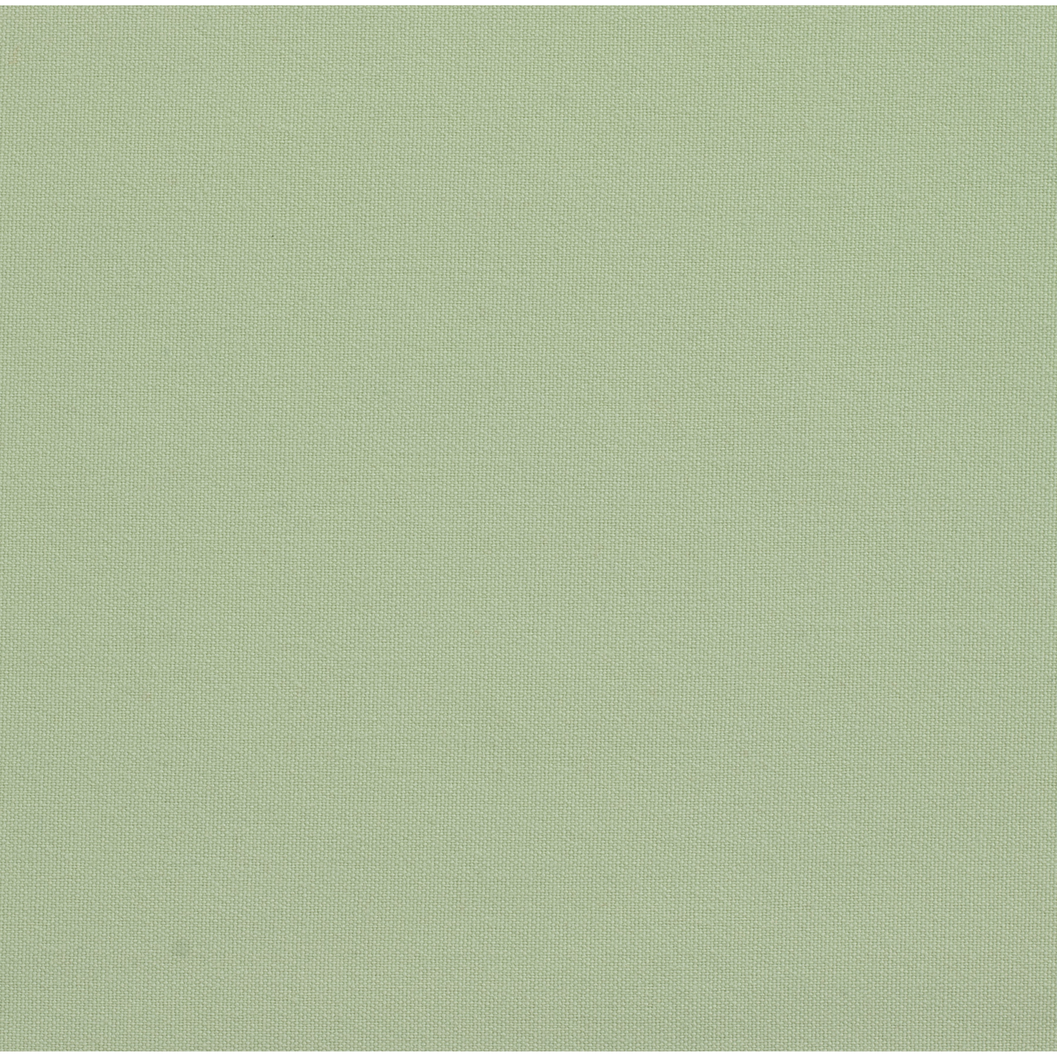 Solid Cotton Nouveau Celadon Napkin
