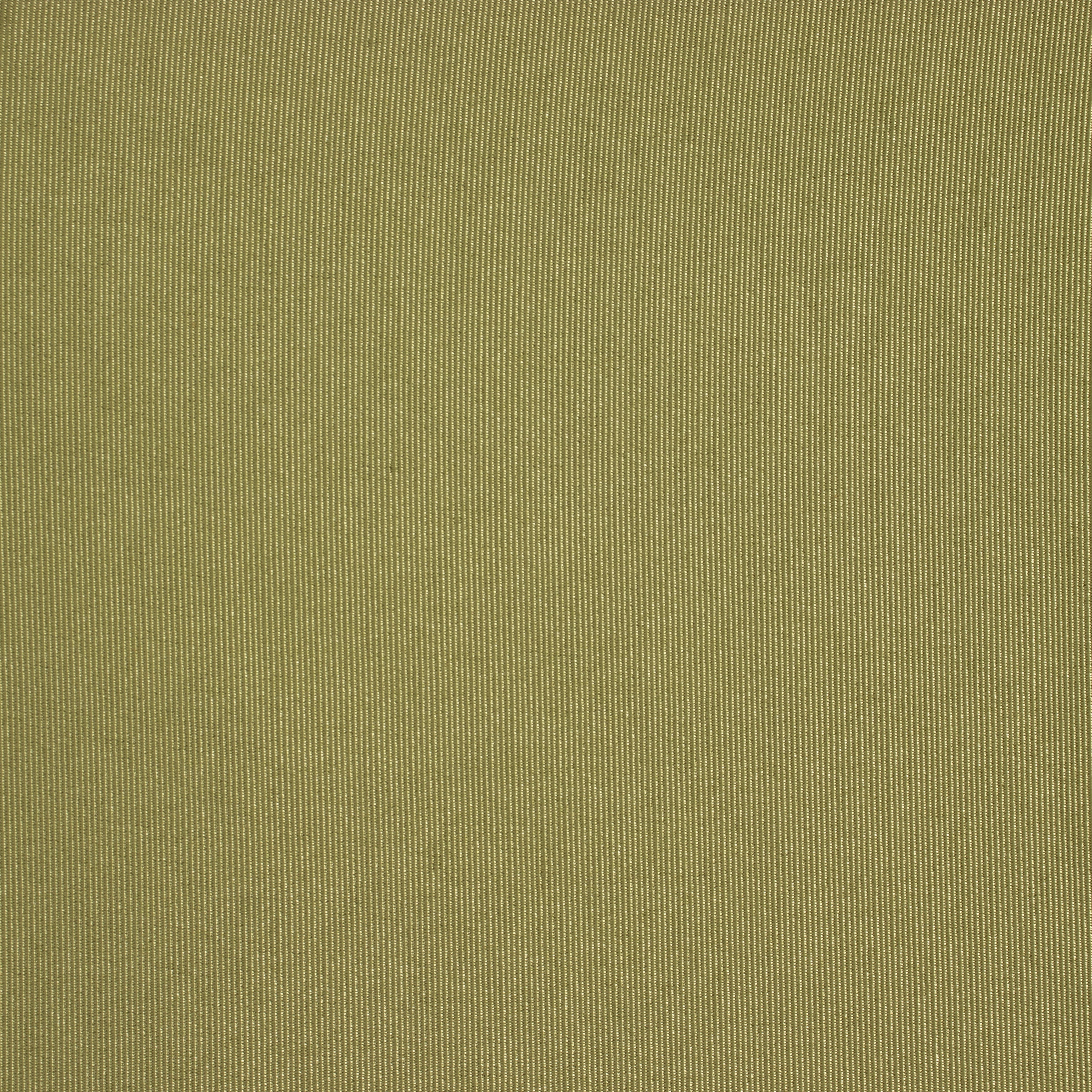 Celery Bengaline Cushion