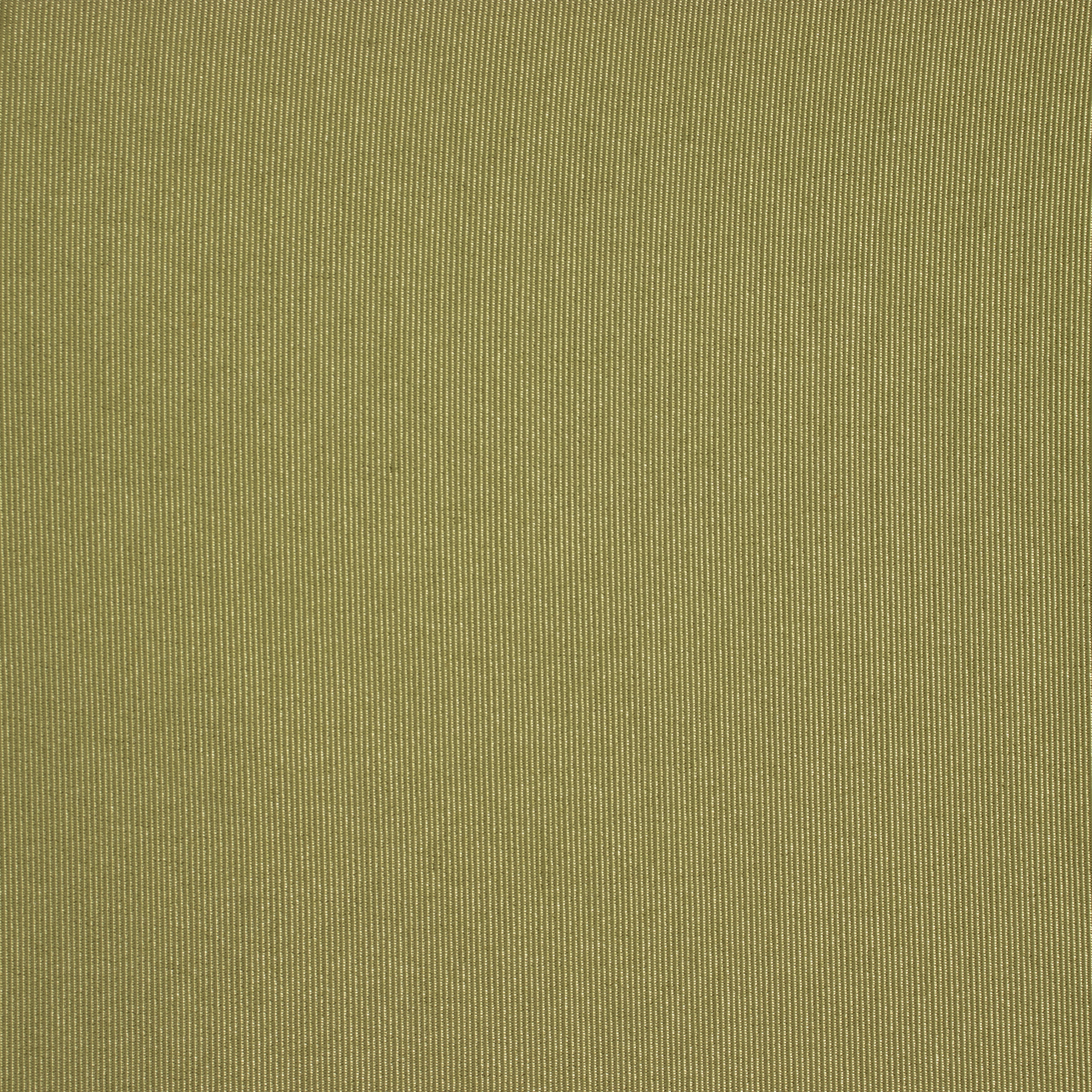 Celery Bengaline Cushion