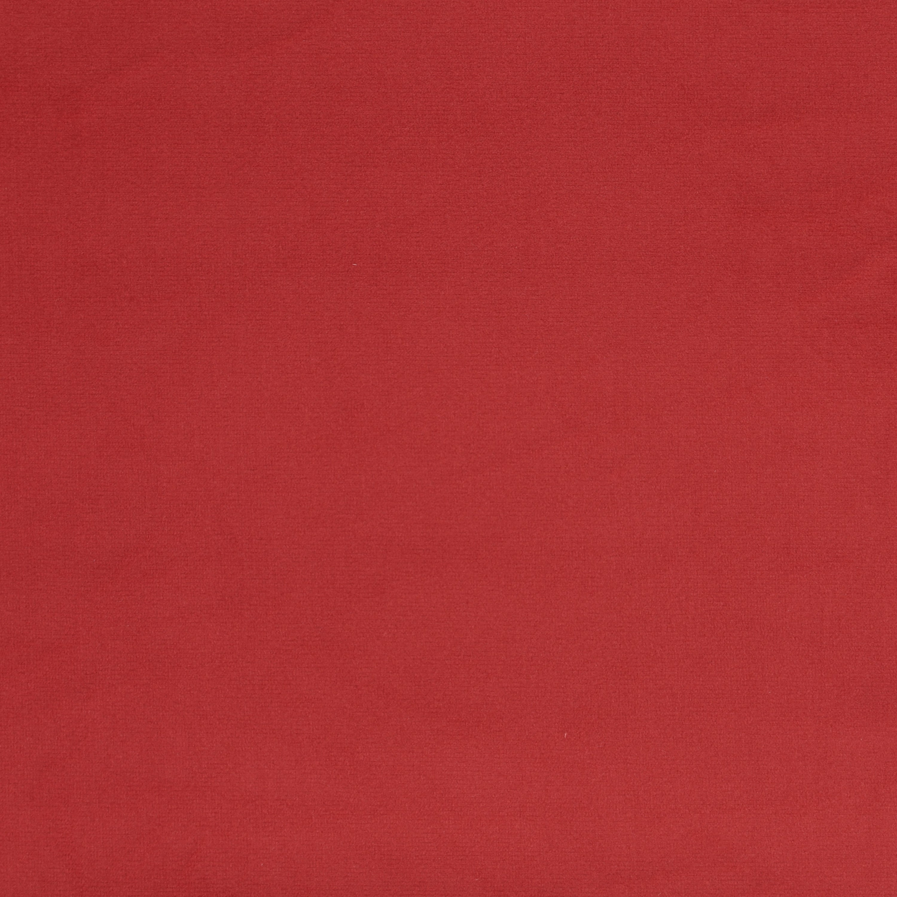 Coral Velvet