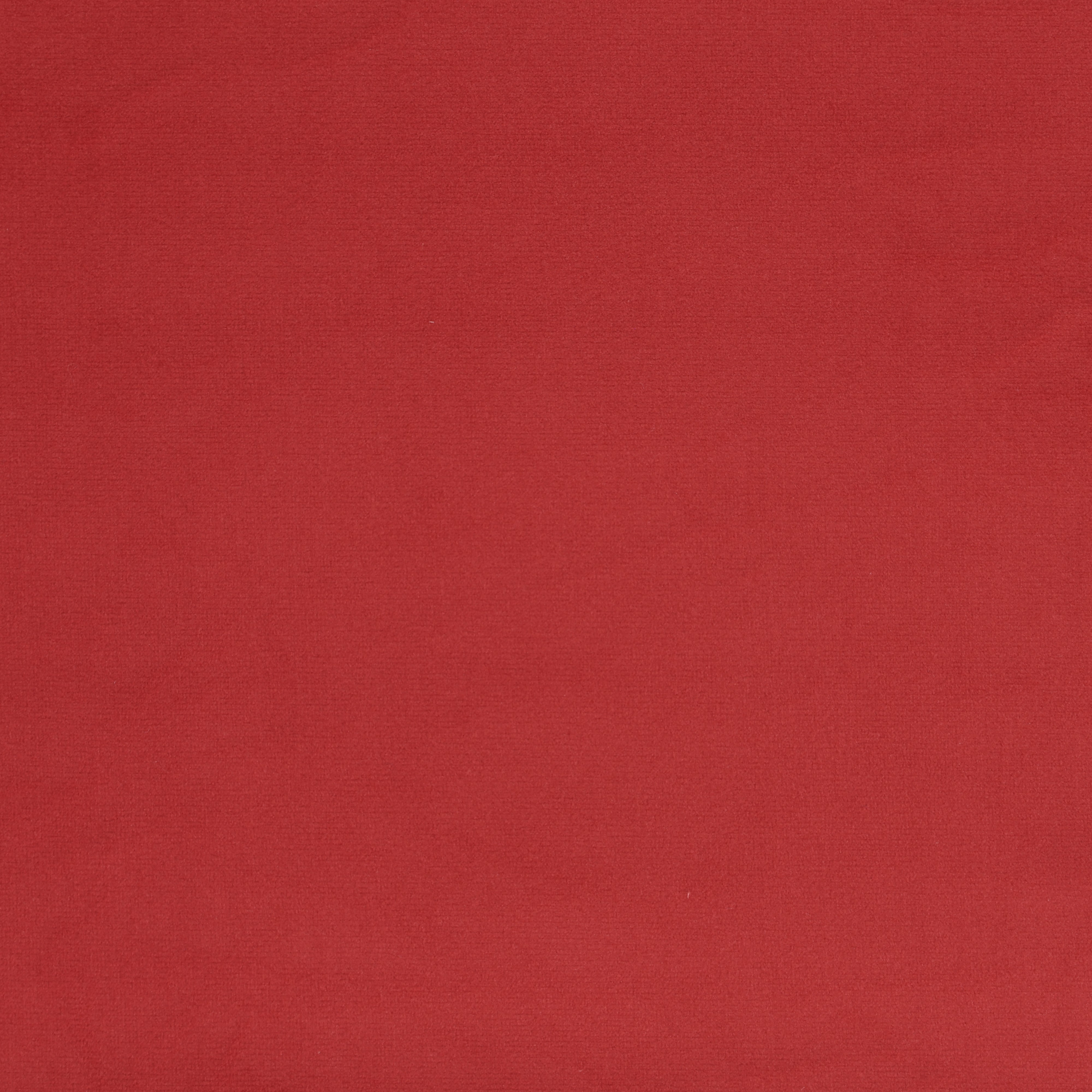 Coral Velvet