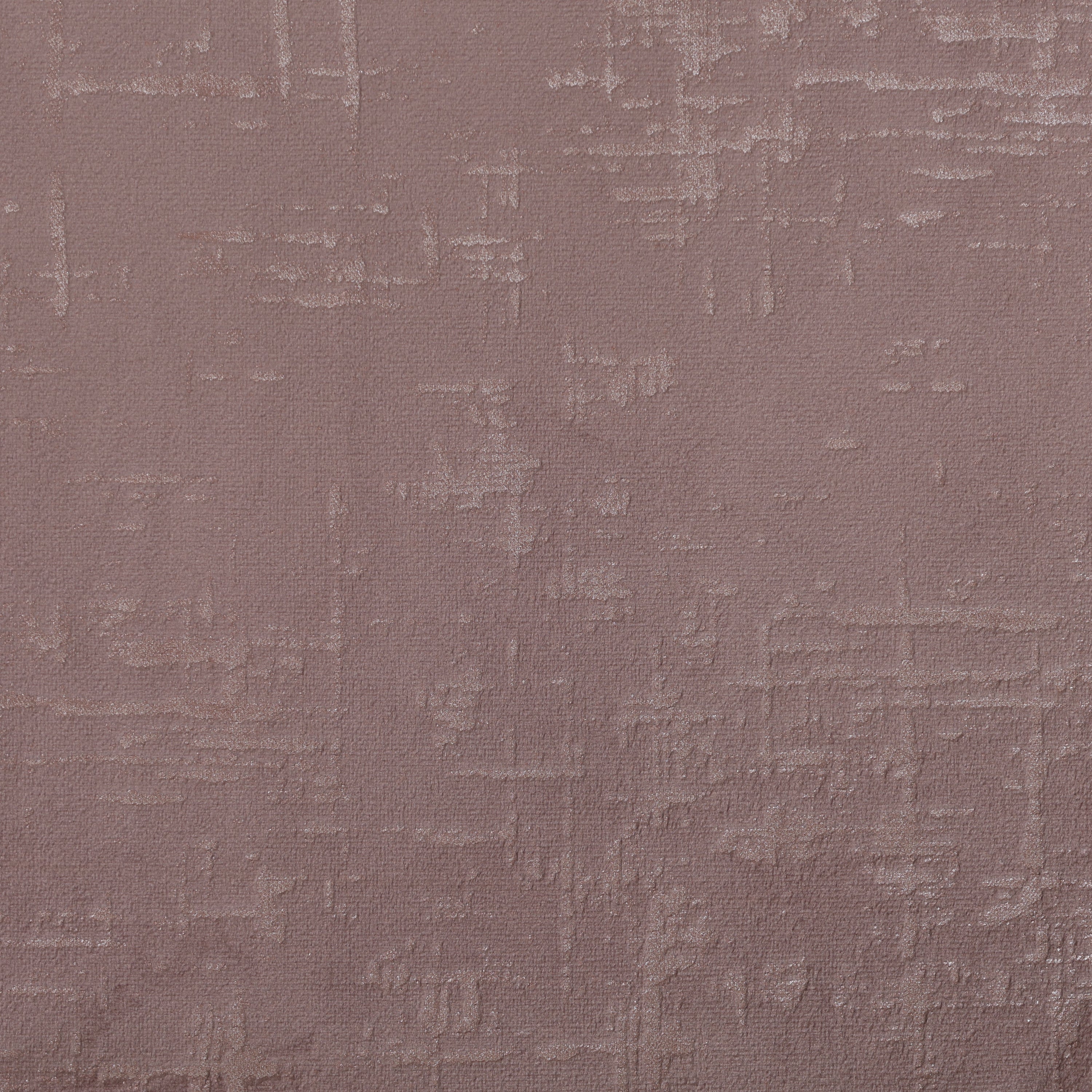 Etched Velvet Rose