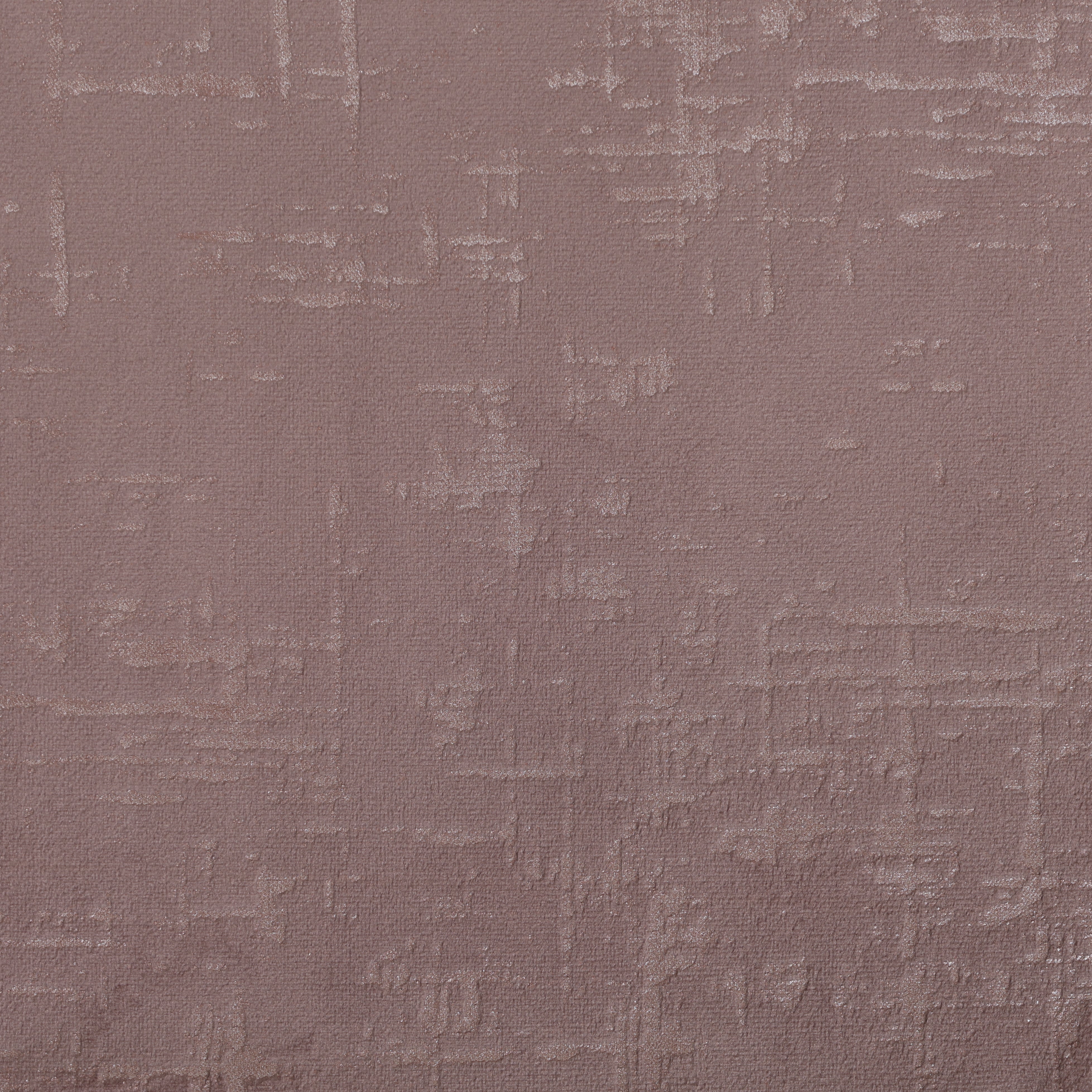 Etched Velvet Rose