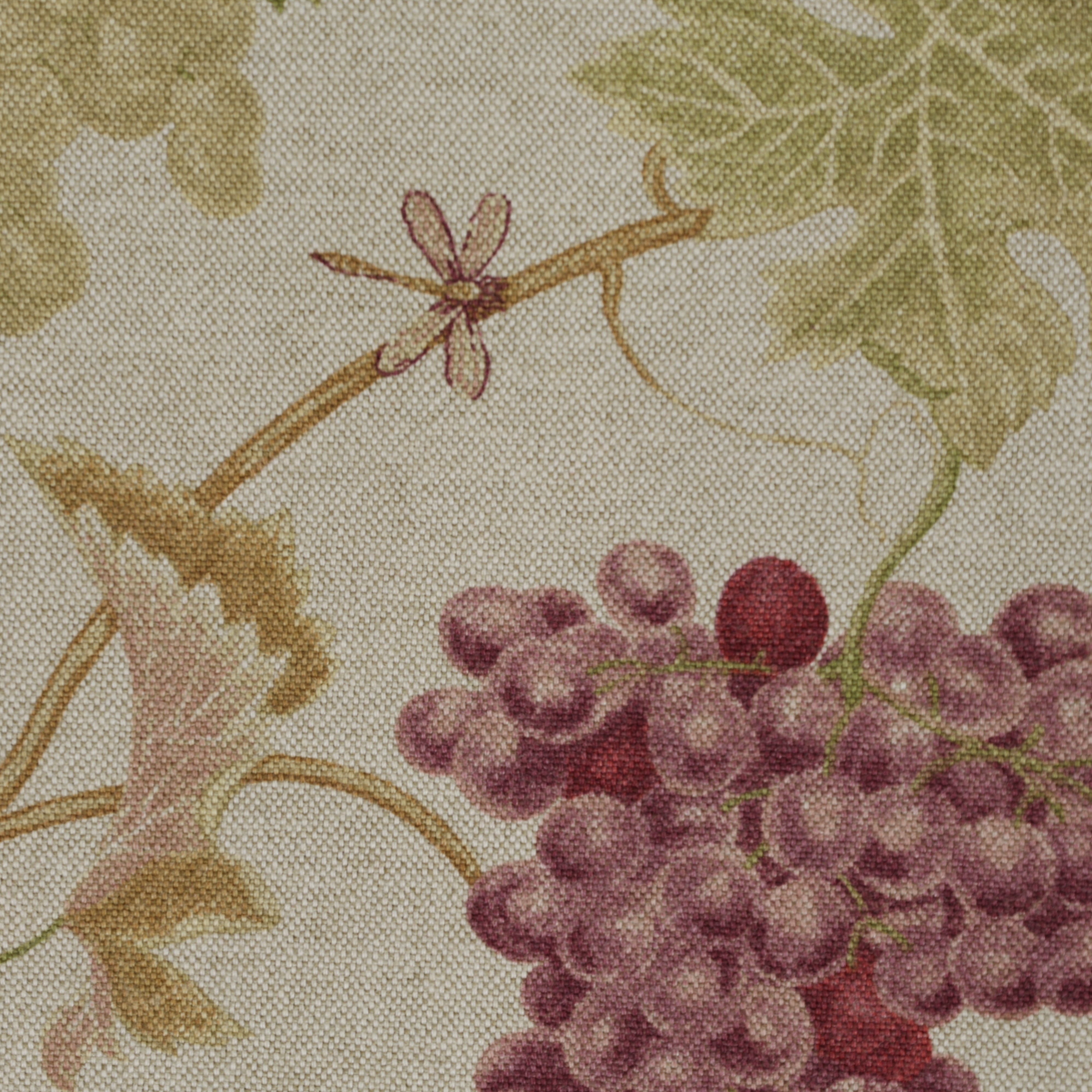 Grape Merlot
