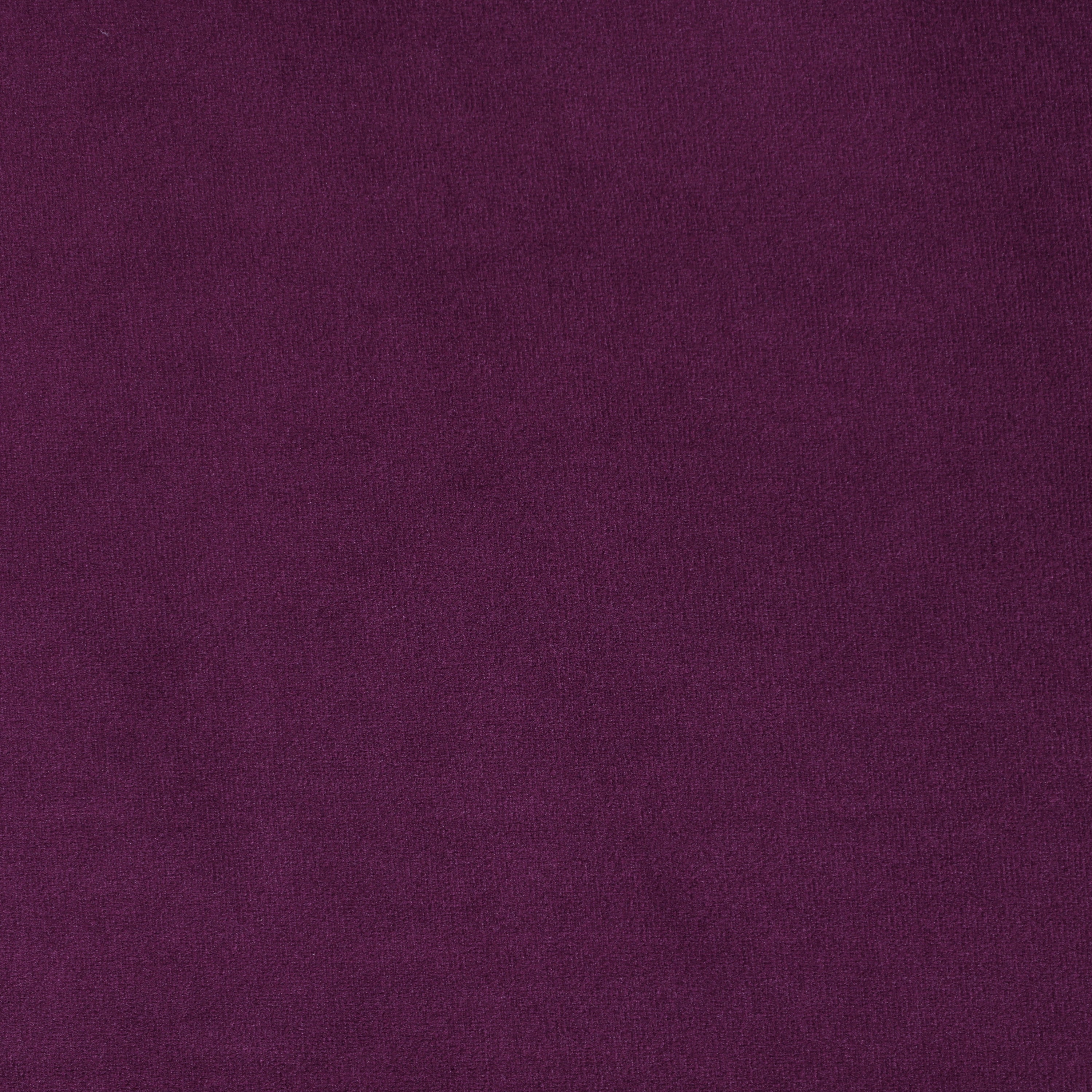 Grape Velvet