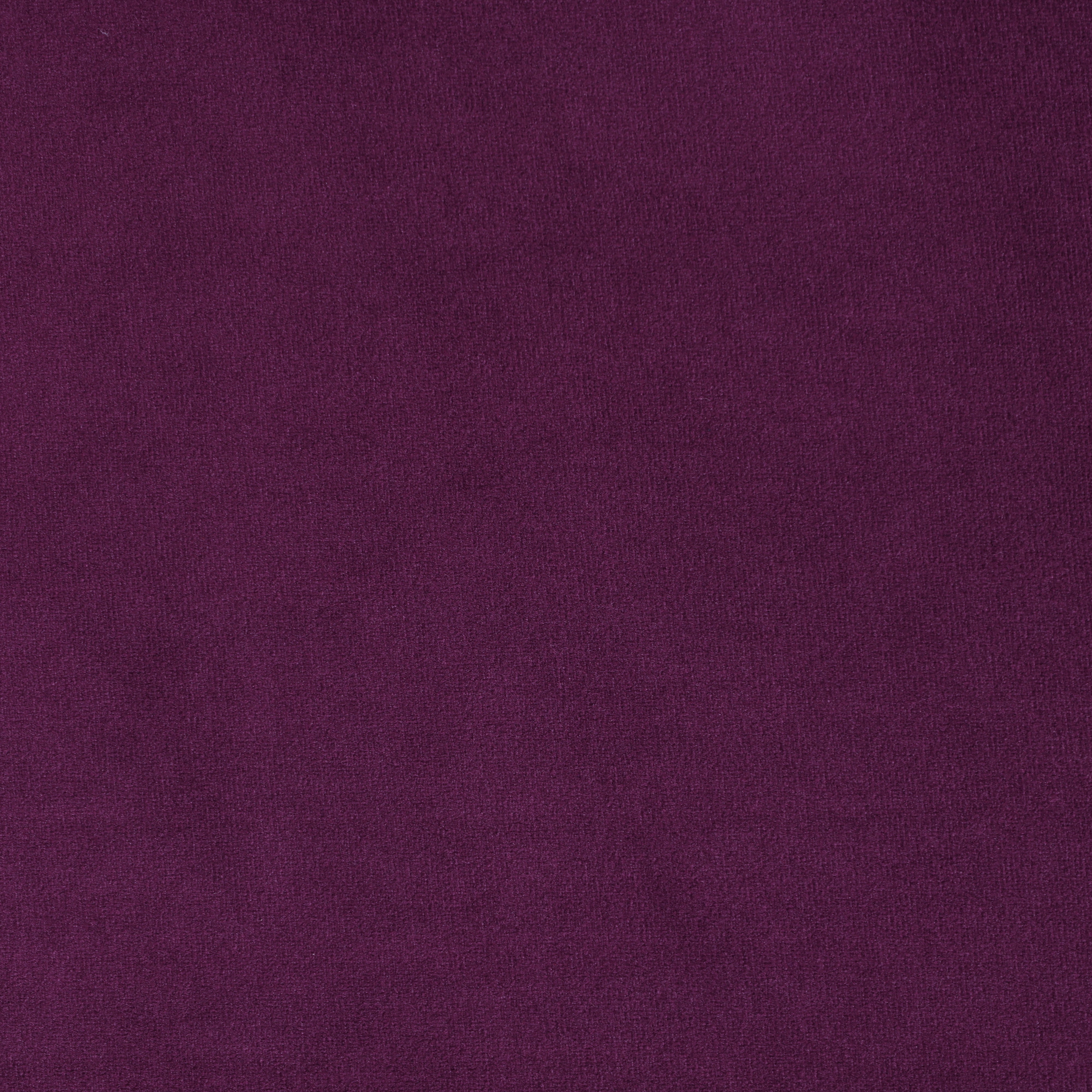 Grape Velvet