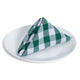 Green Check Napkin