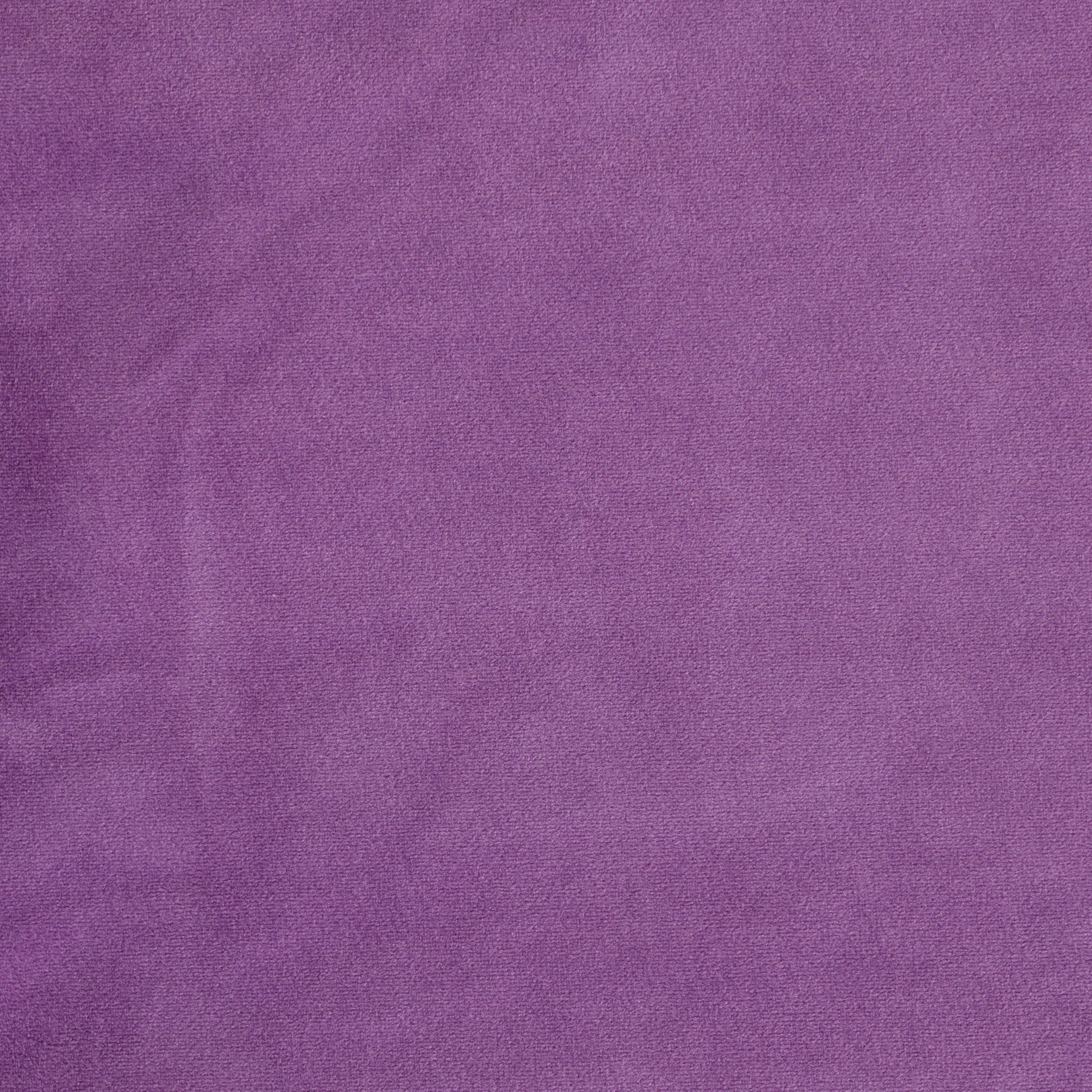 Lavender Velvet