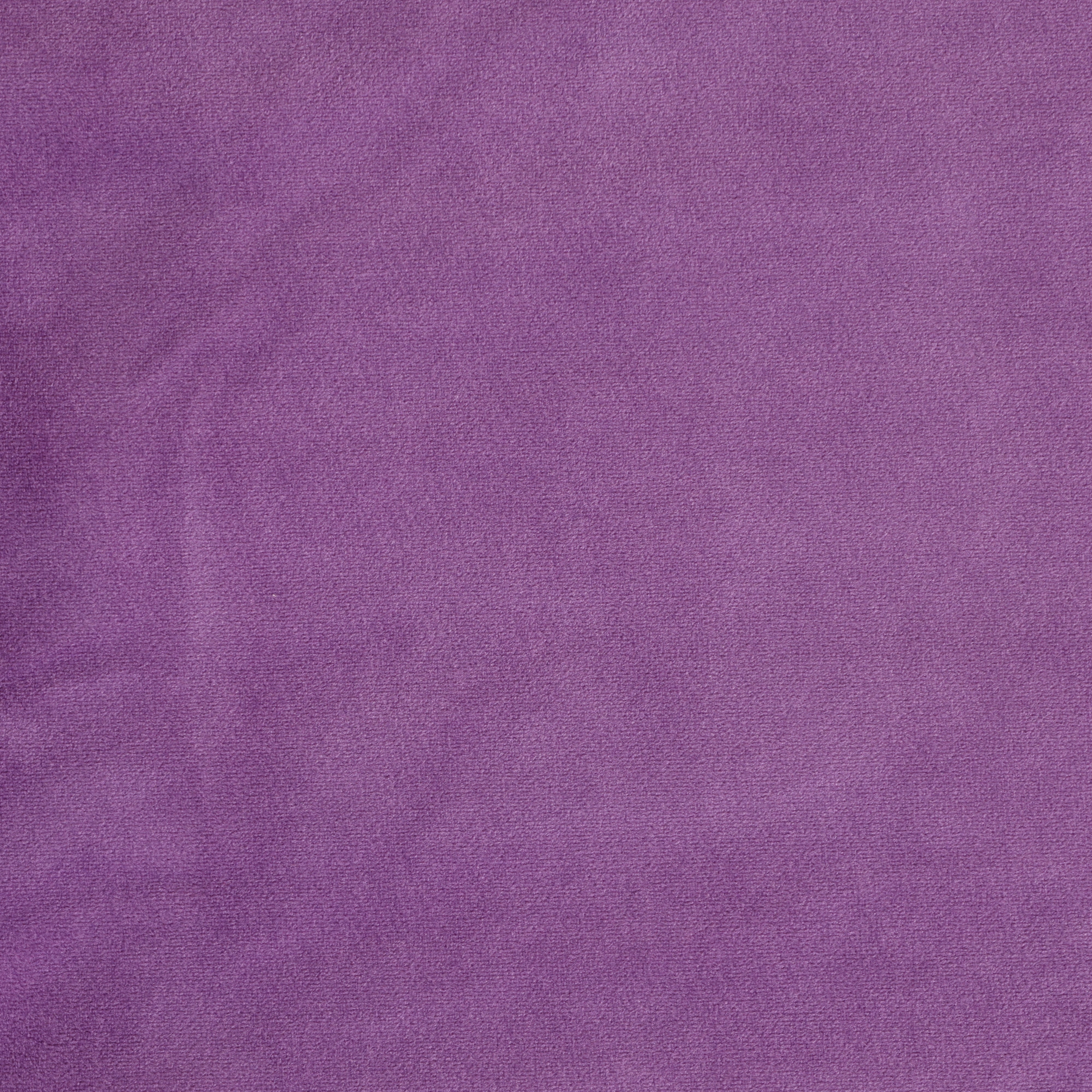 Lavender Velvet