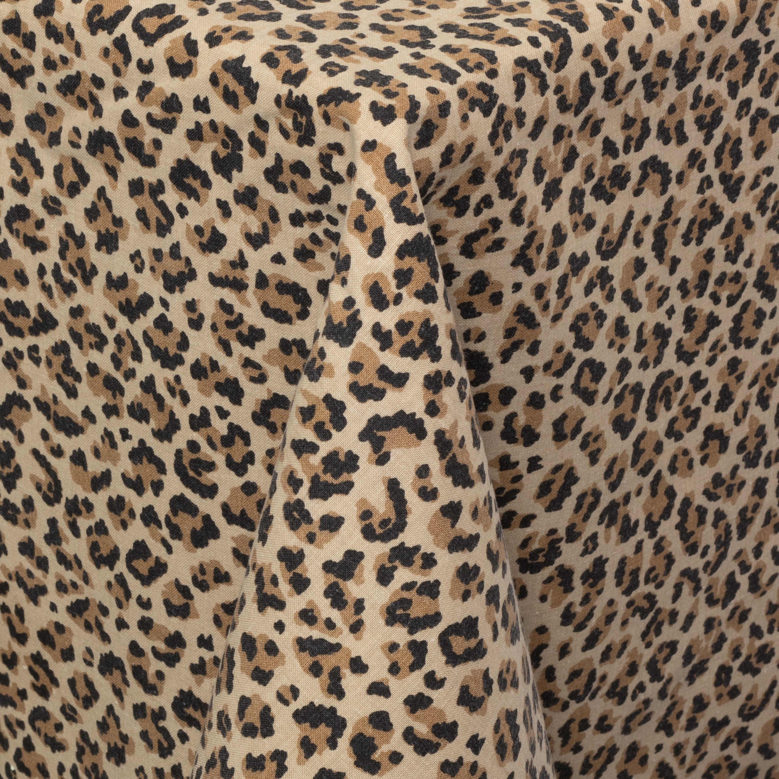 Leopard TT