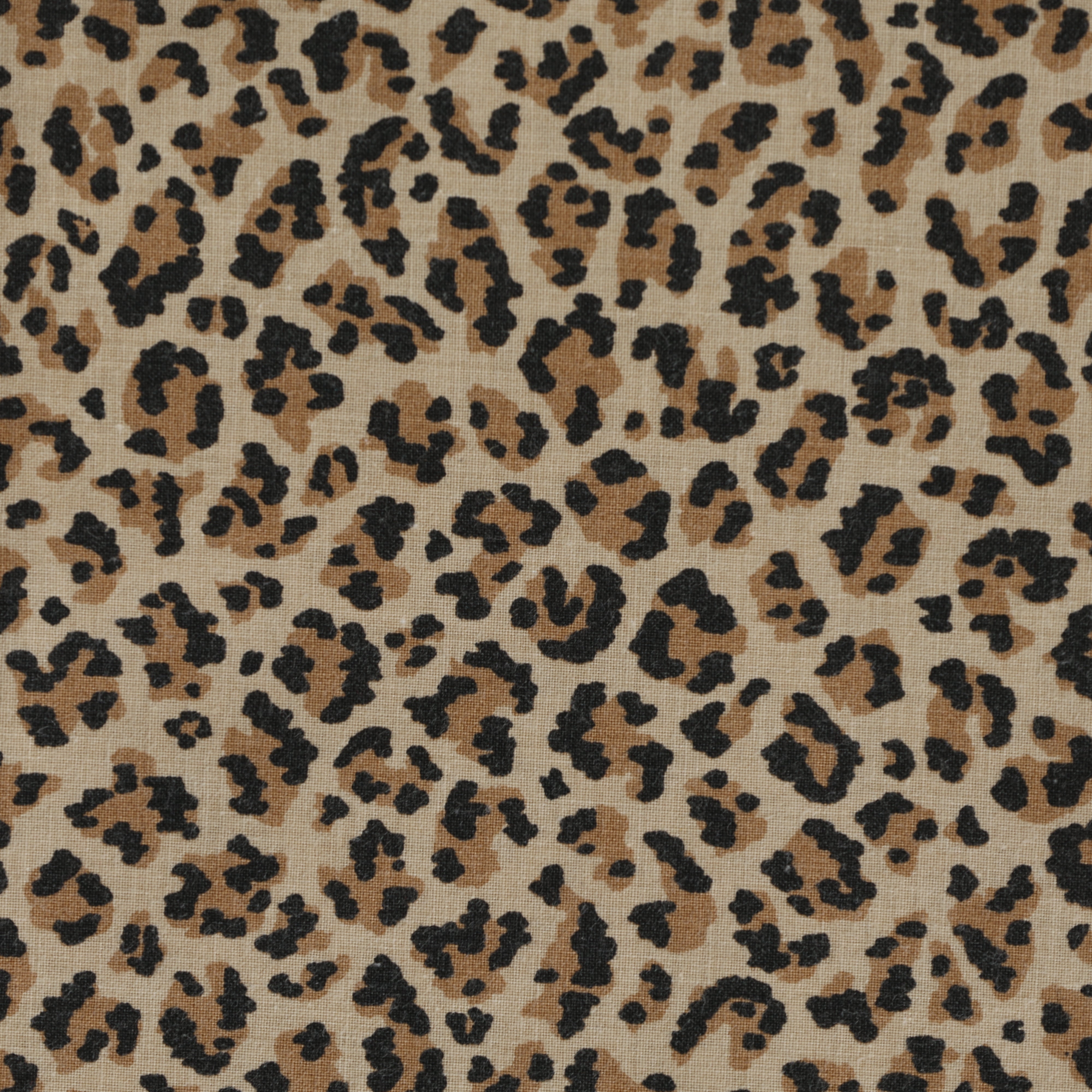 Leopard TT